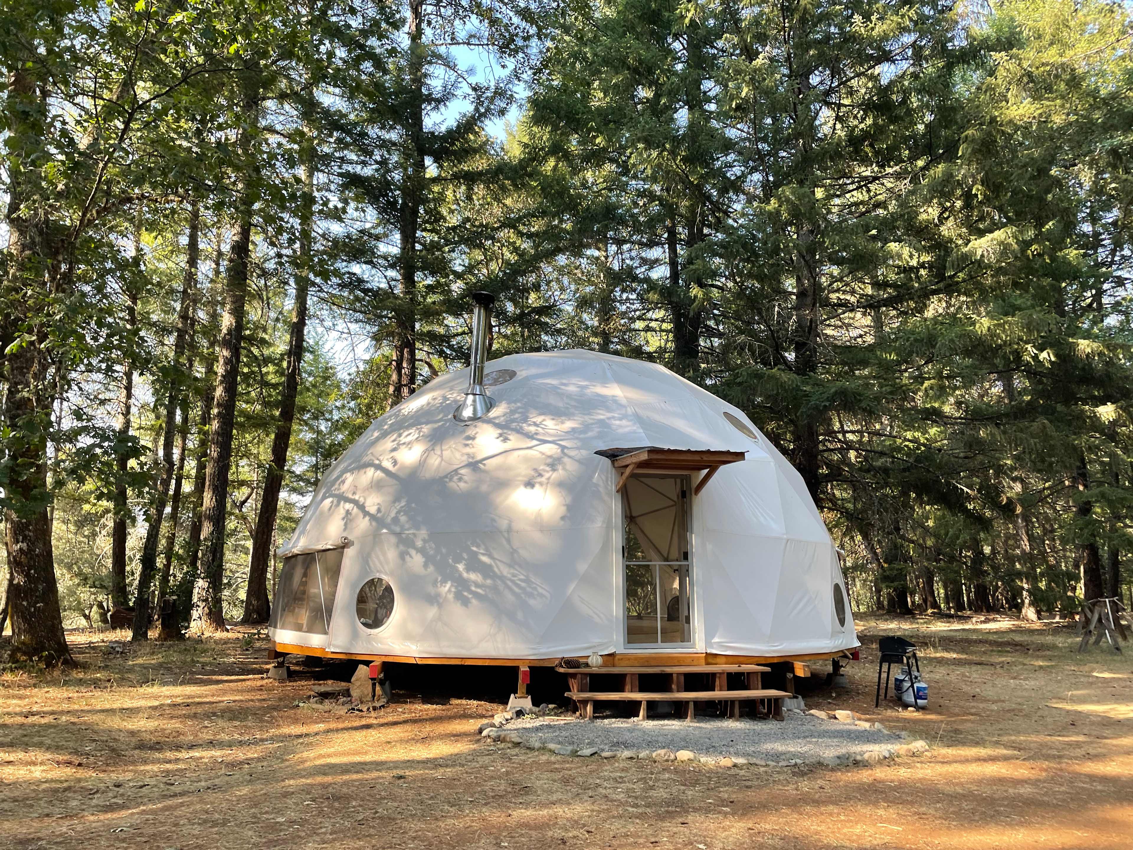 Cedar Bloom