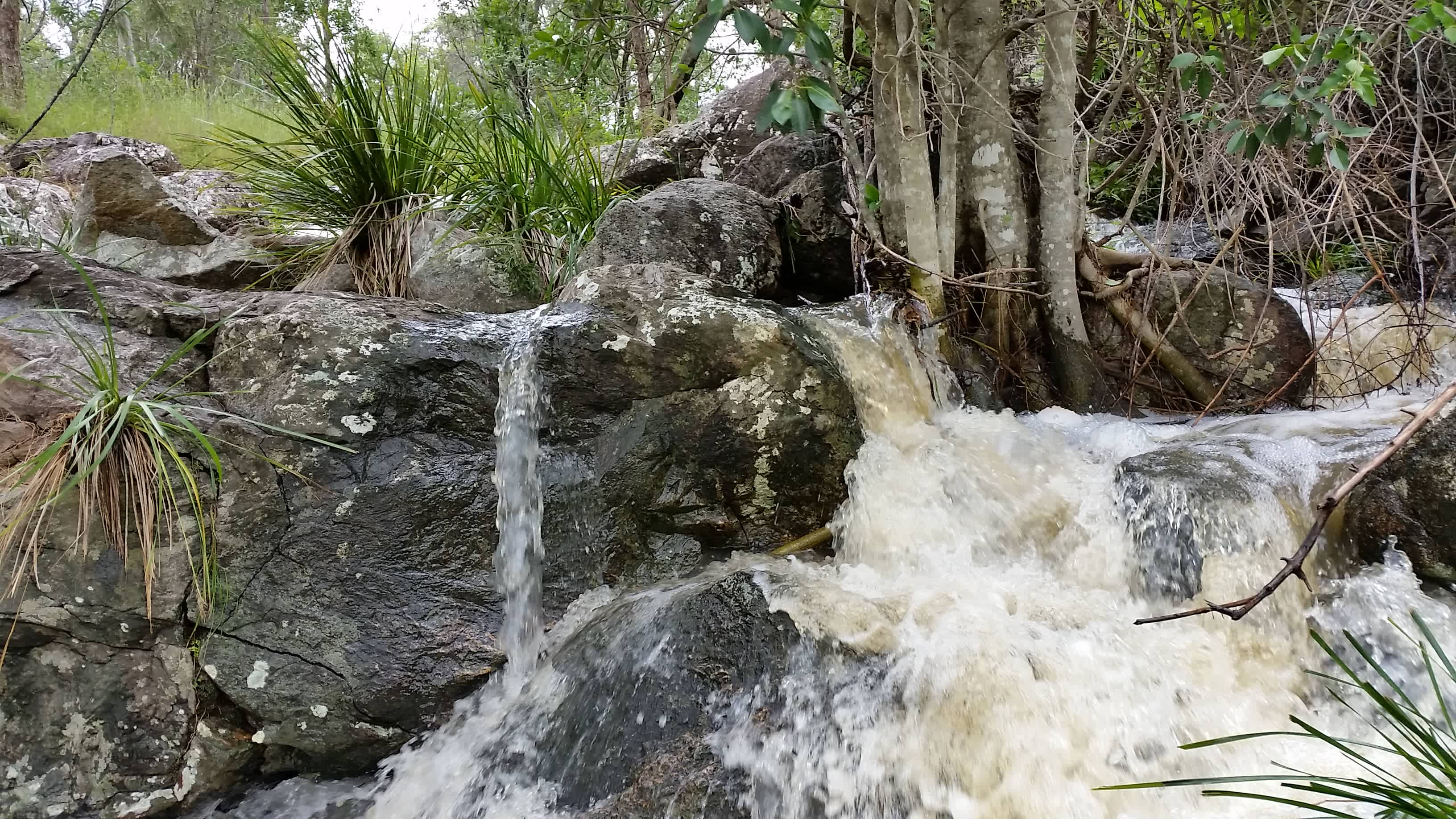 Reids Creek and five of its tributaries run through "Wolca Range".  There are several waterfalls and swimming holes in the wet season.