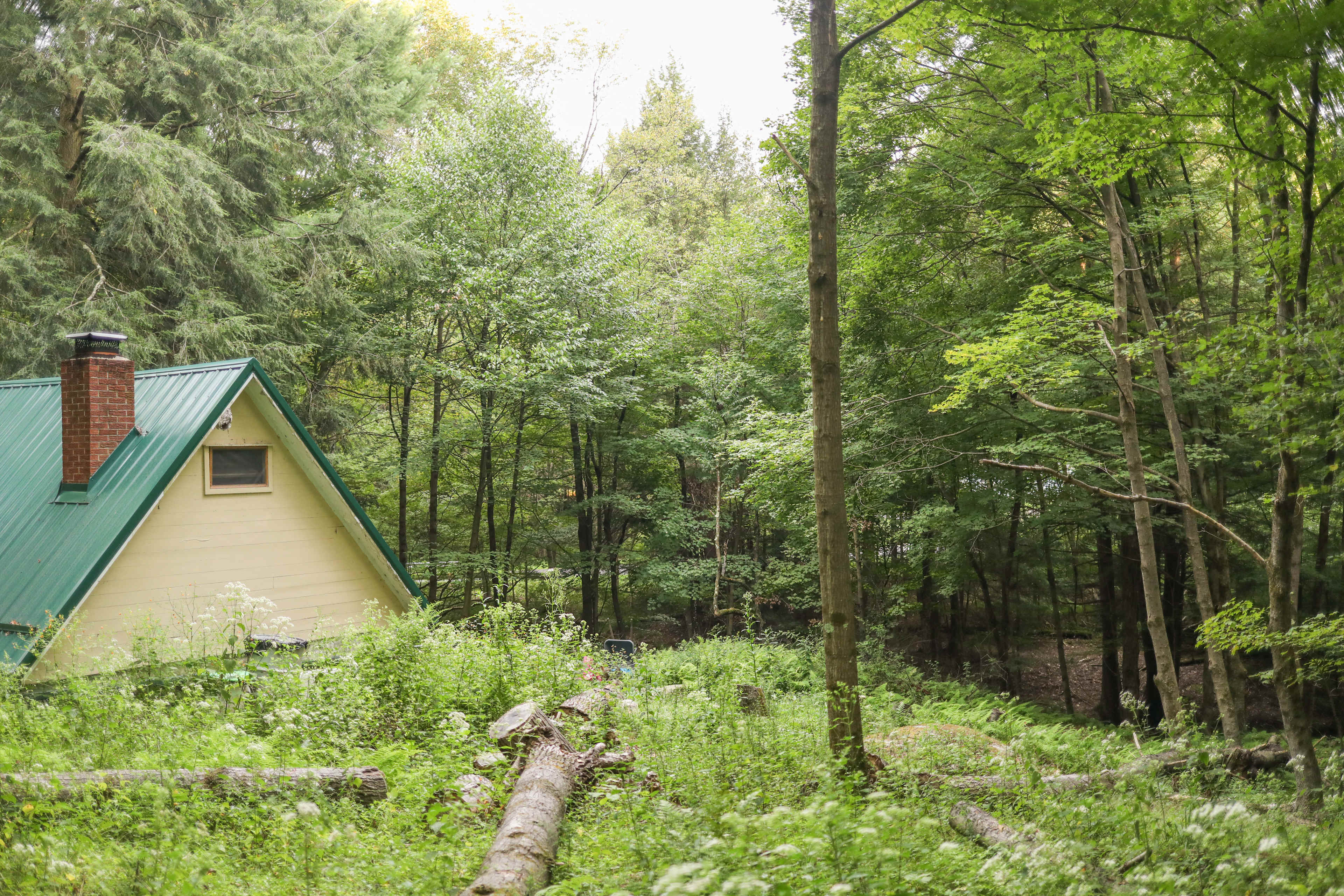 Neal Homestead Camp Sites