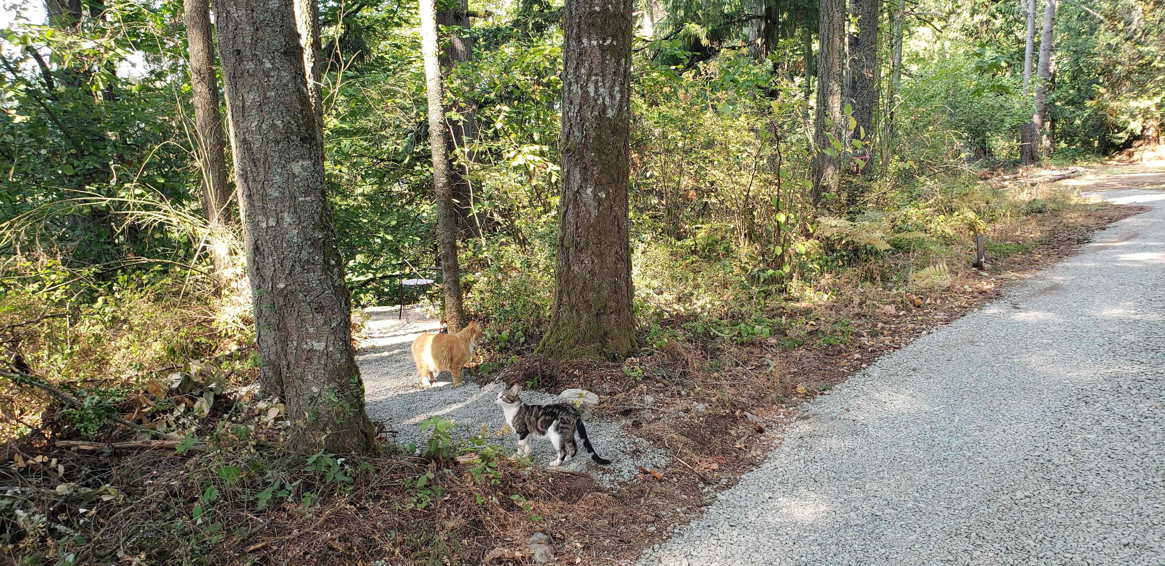 Dean’s Campground