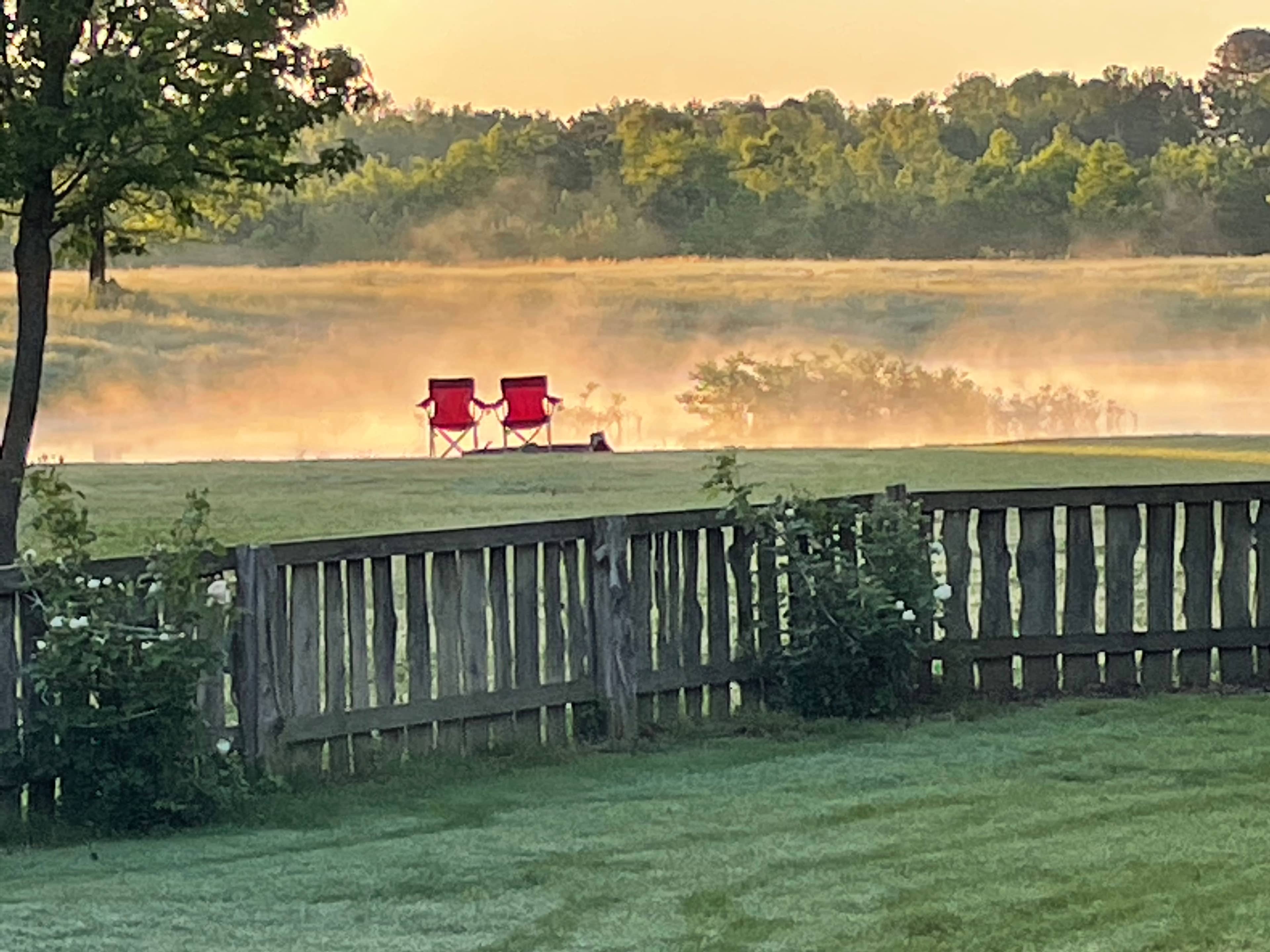 Picture of the site