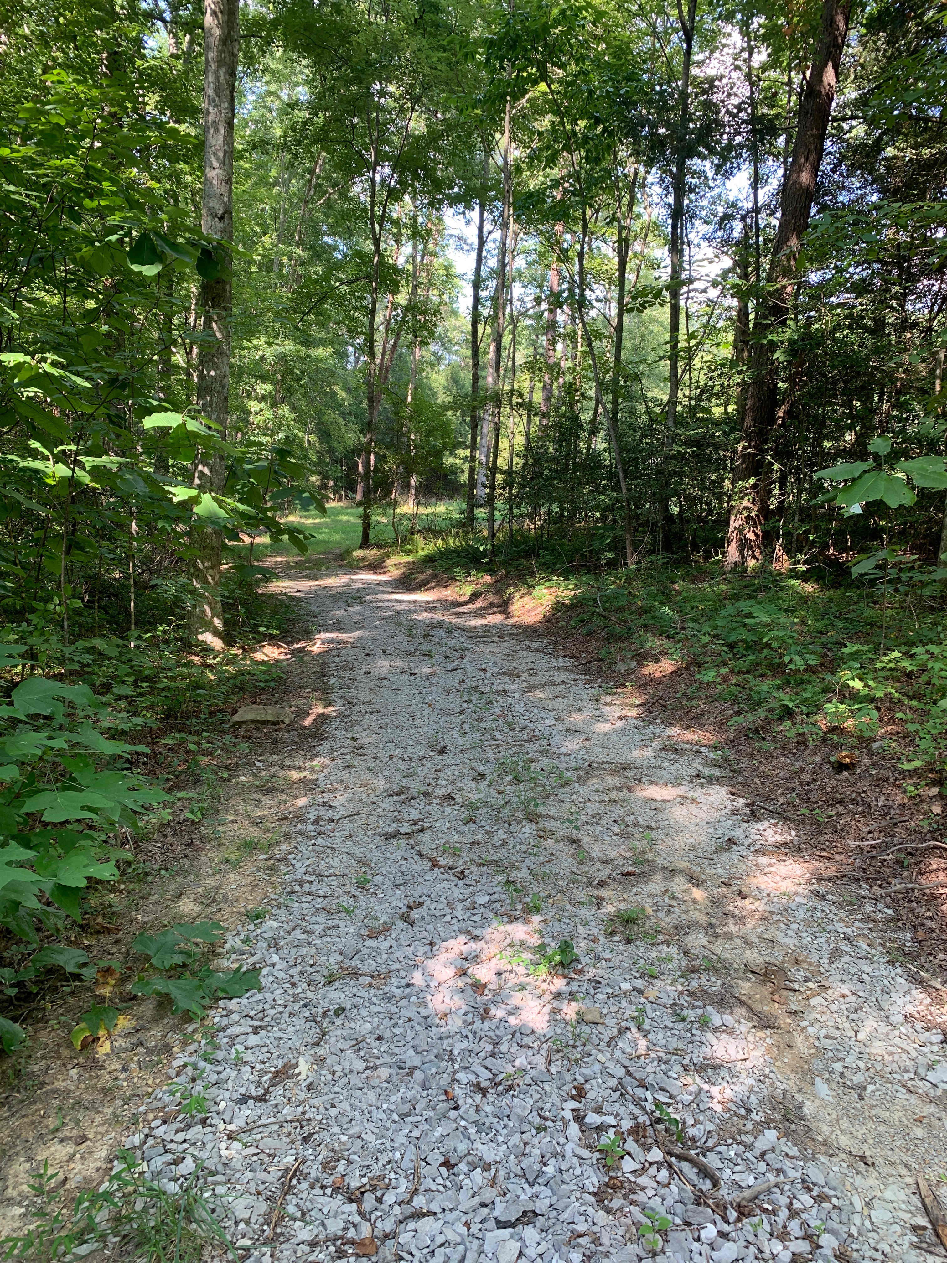 The road going in is gravel. Great for all weather. 