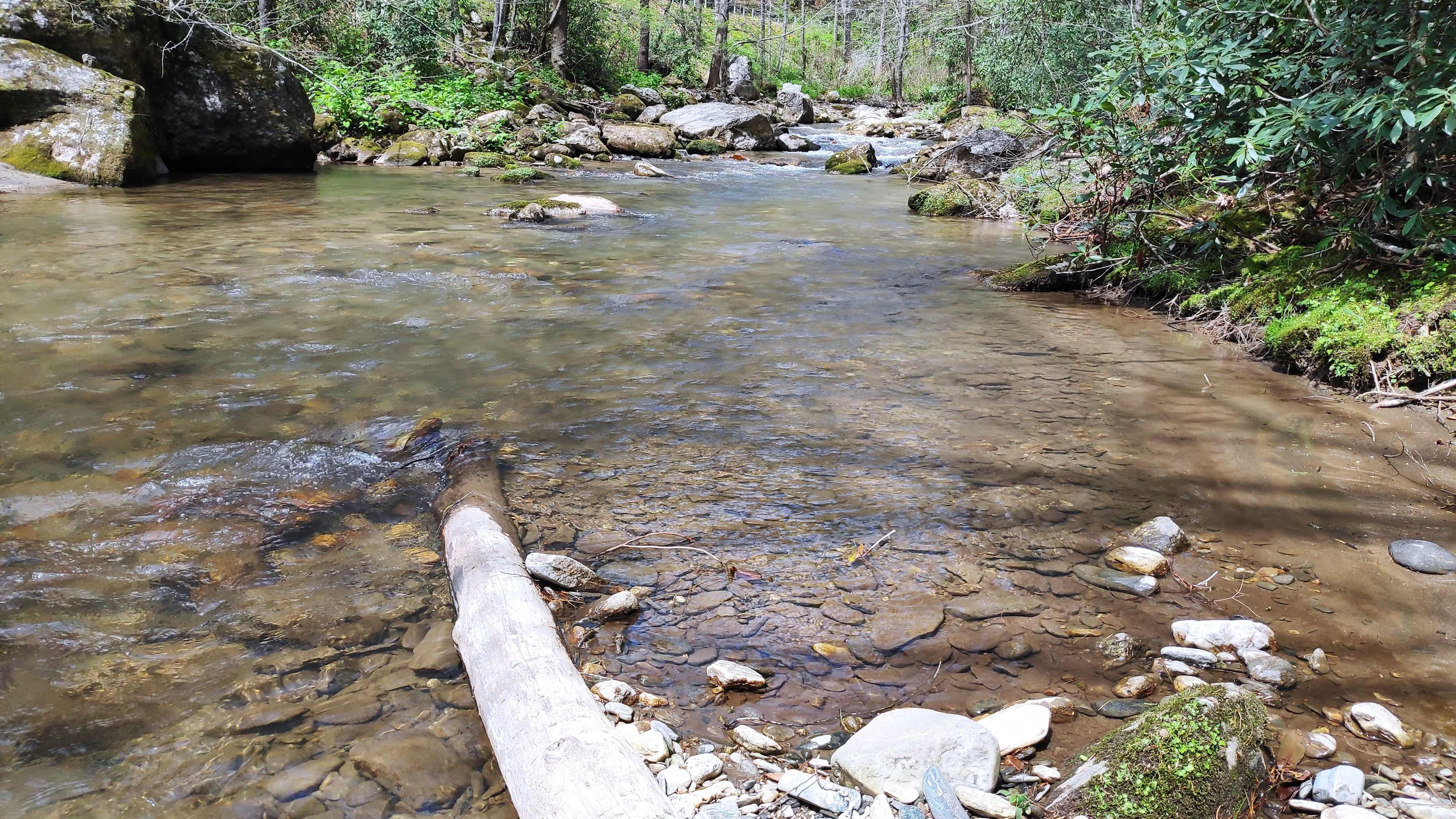 Rejuvenation River & Mtn Campsite