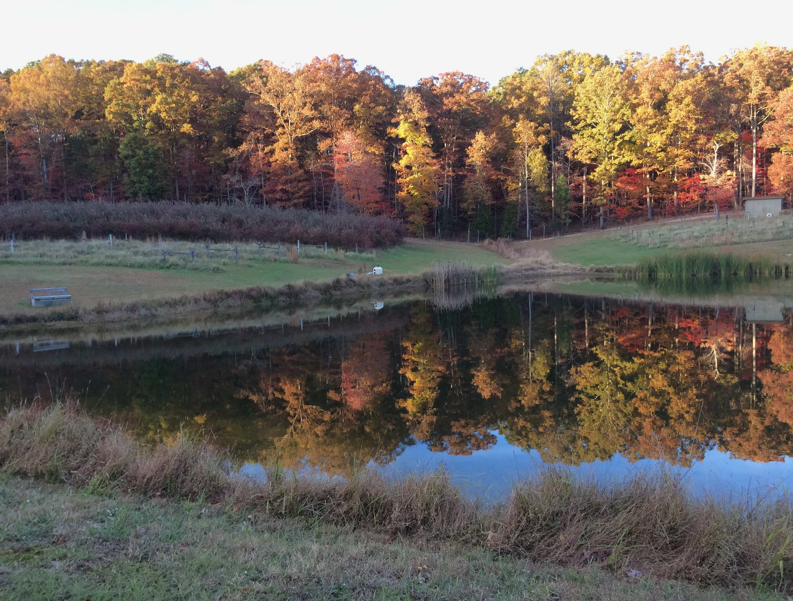 Private meadow and pond