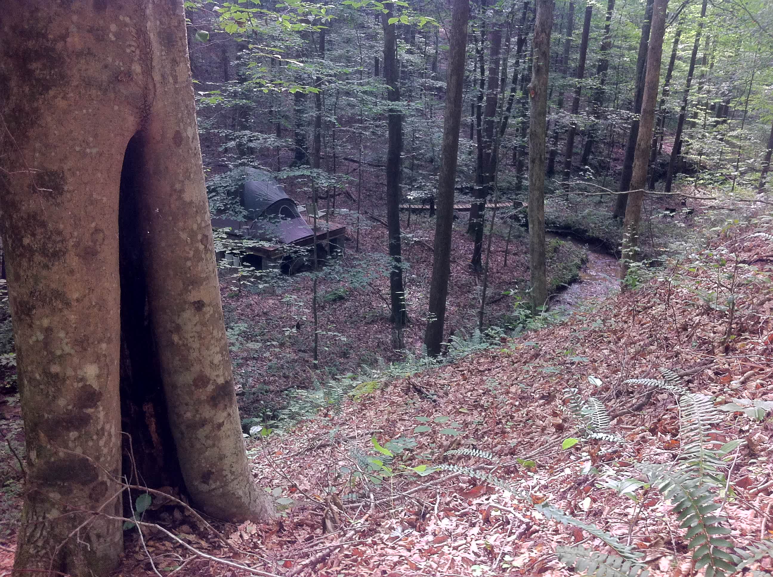 Owl- Private Creekside Campsite