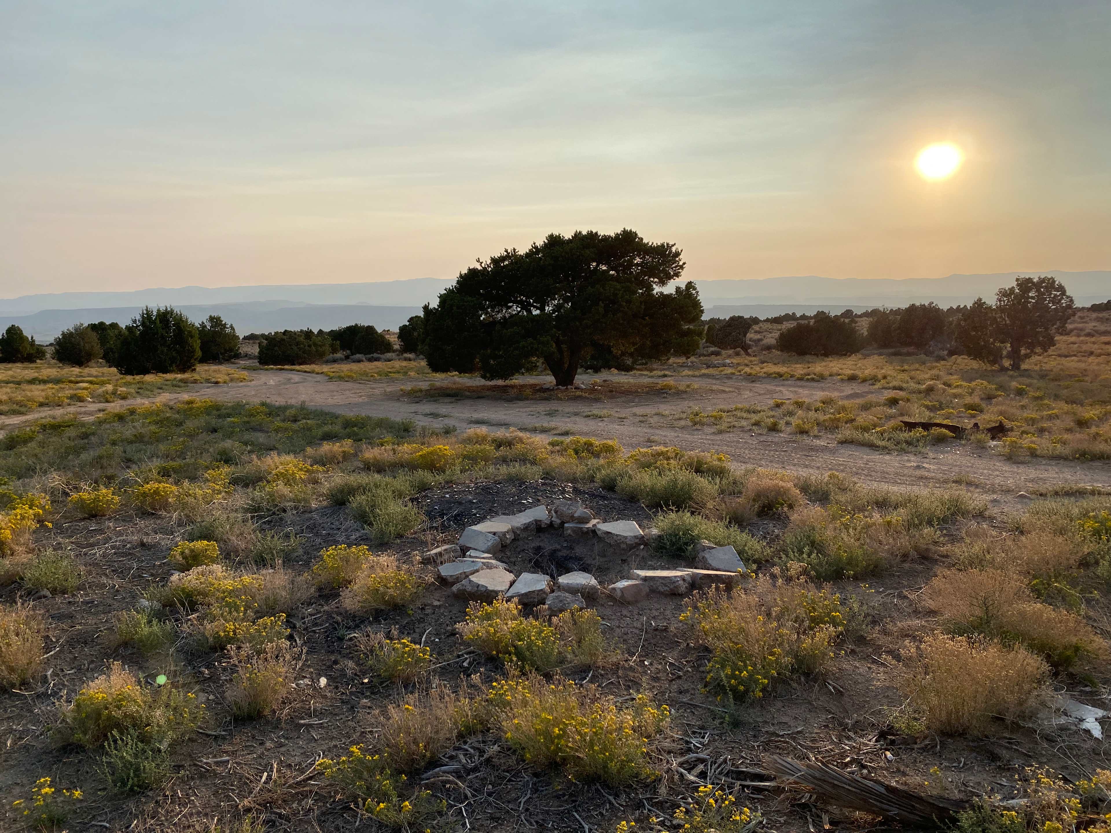 Picture of the site