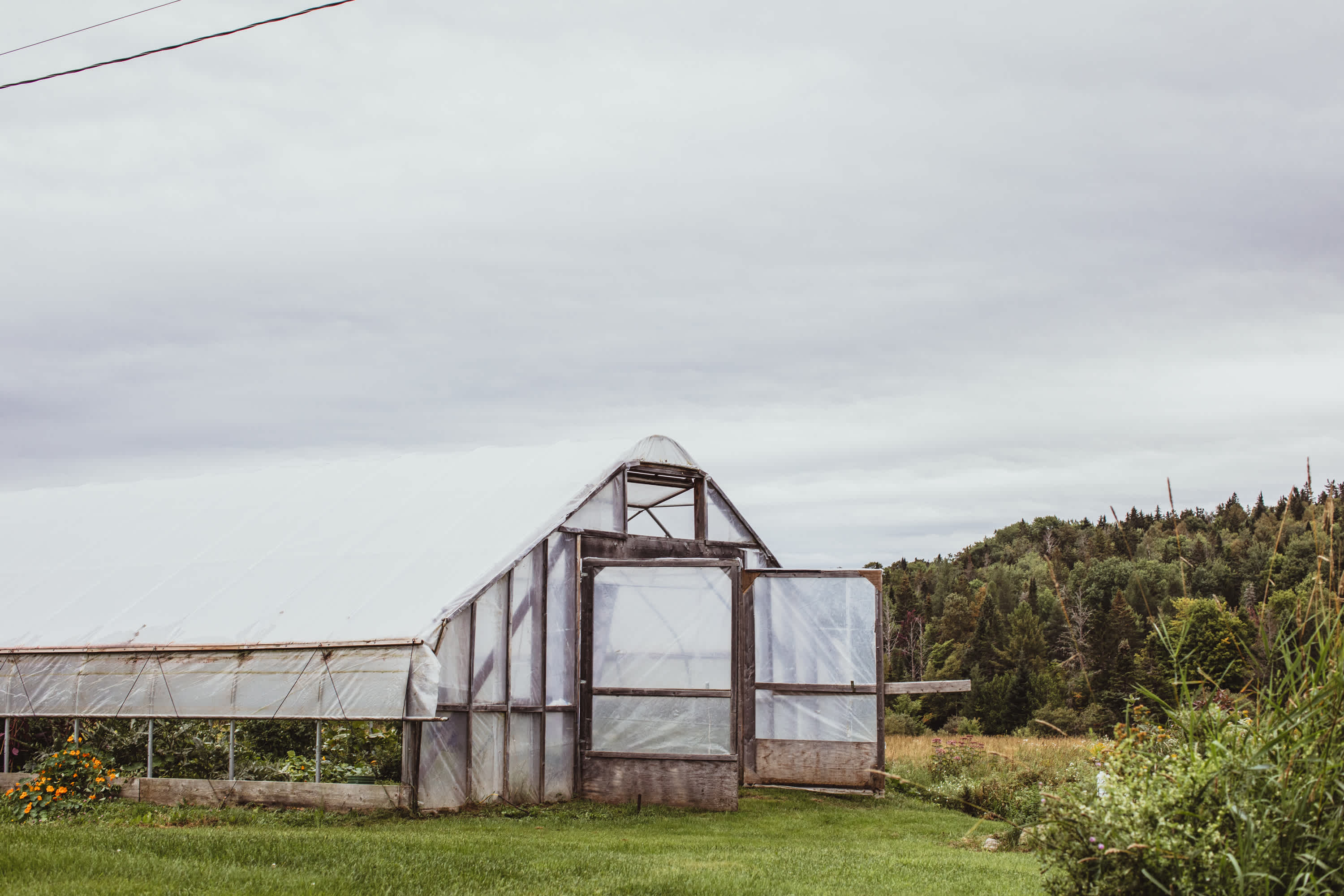 greenhouse is huge!