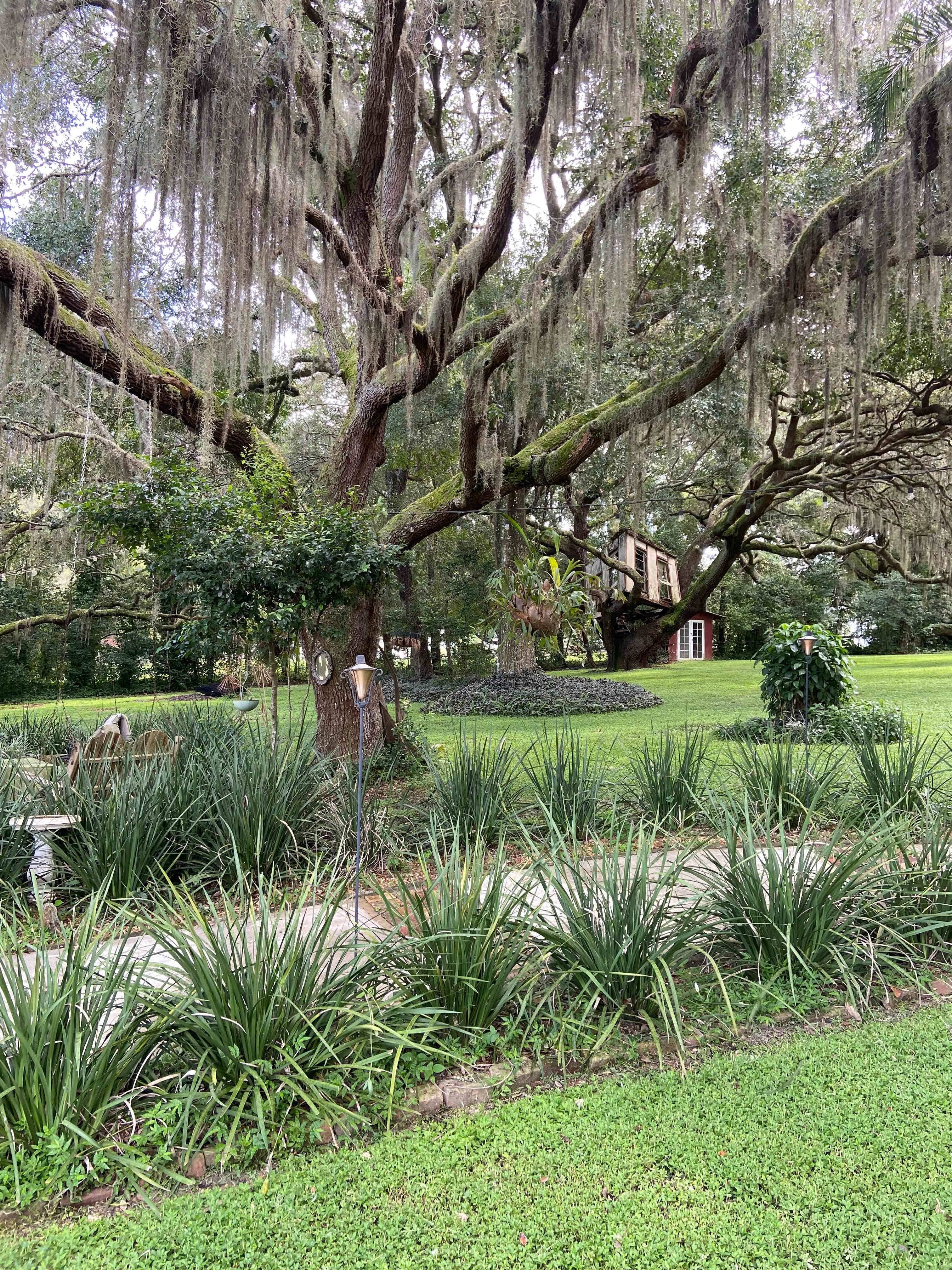 At Shady Oaks