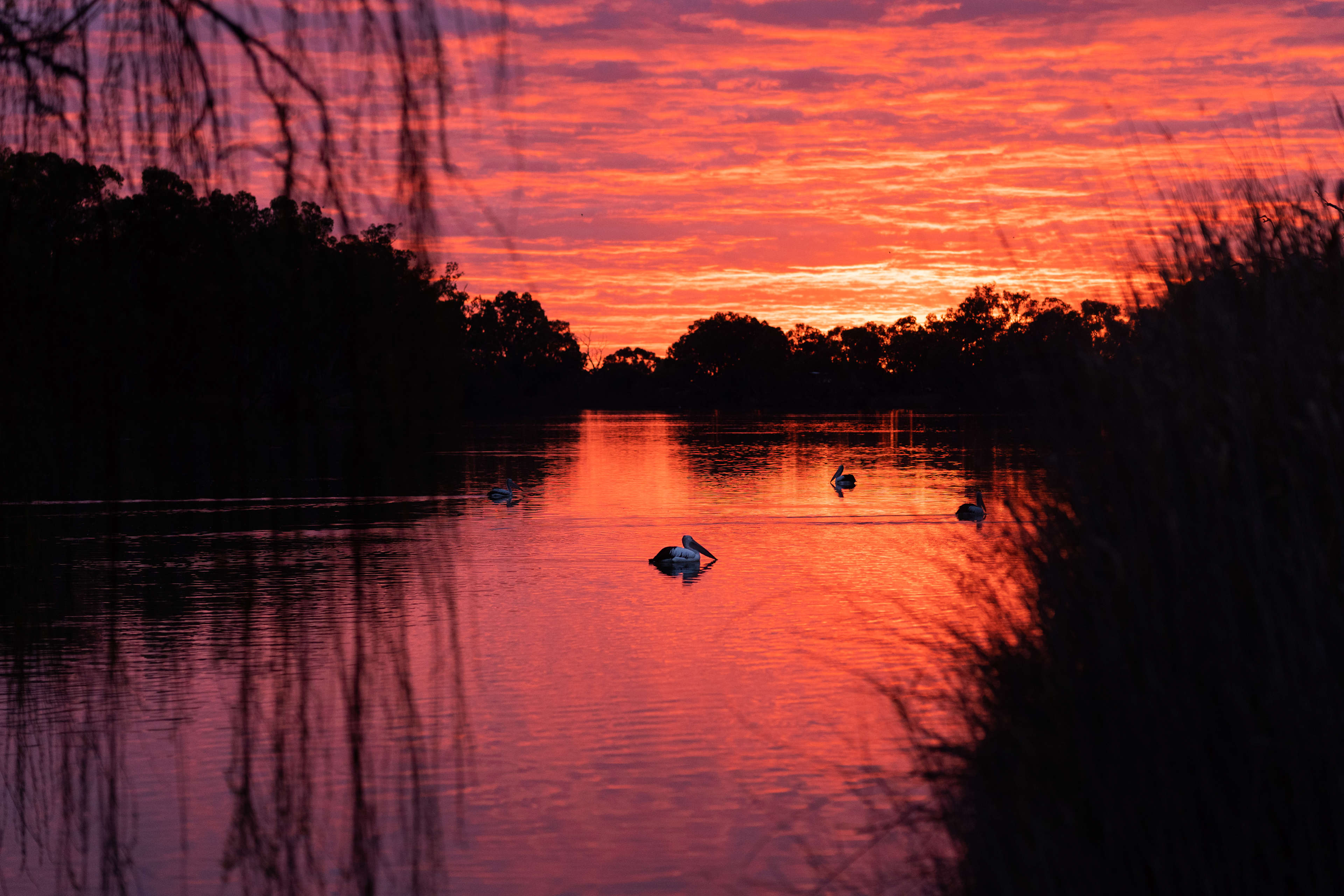 Secluded exclusive river campsite