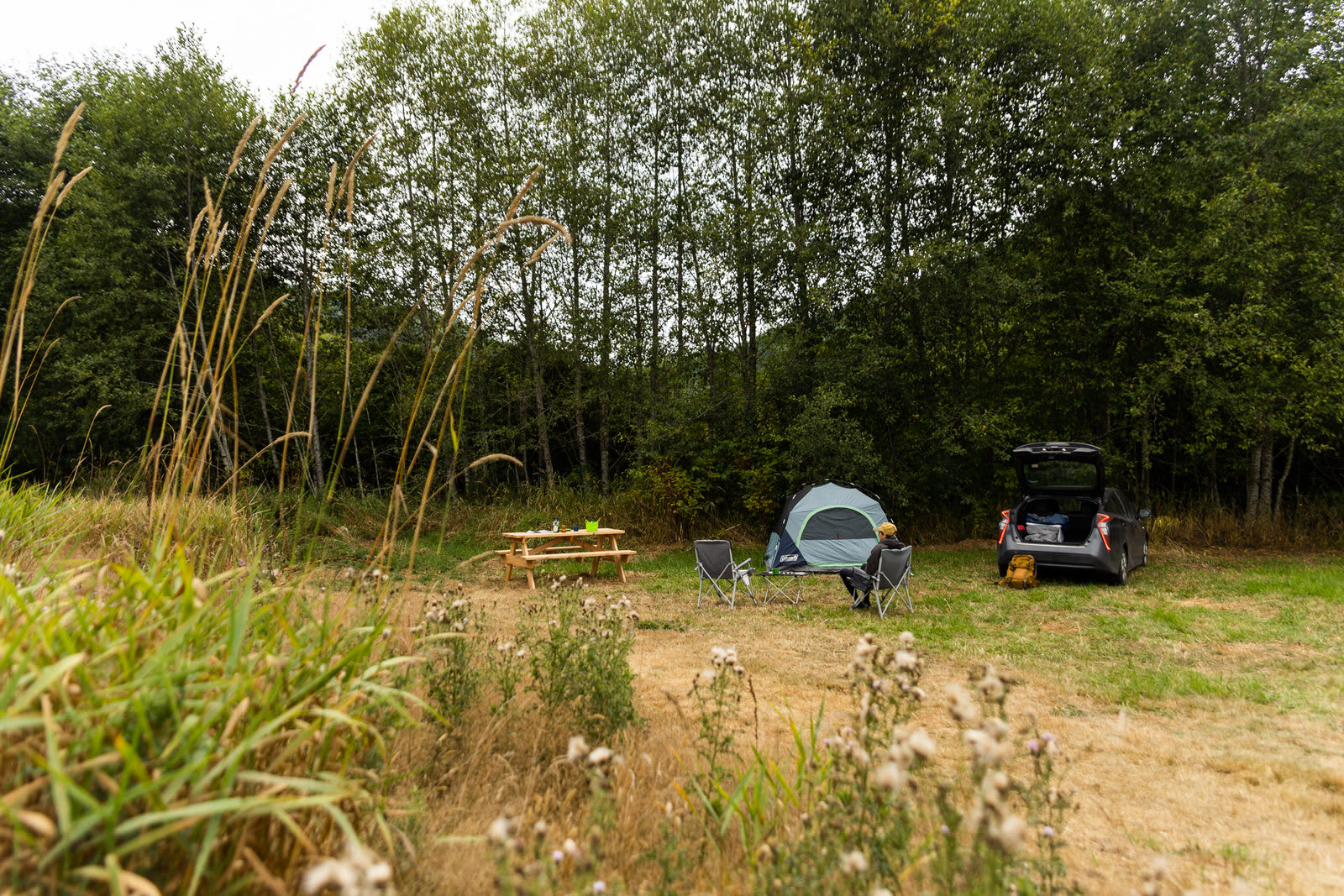 Tall grass surrounds site #1 for extra privacy