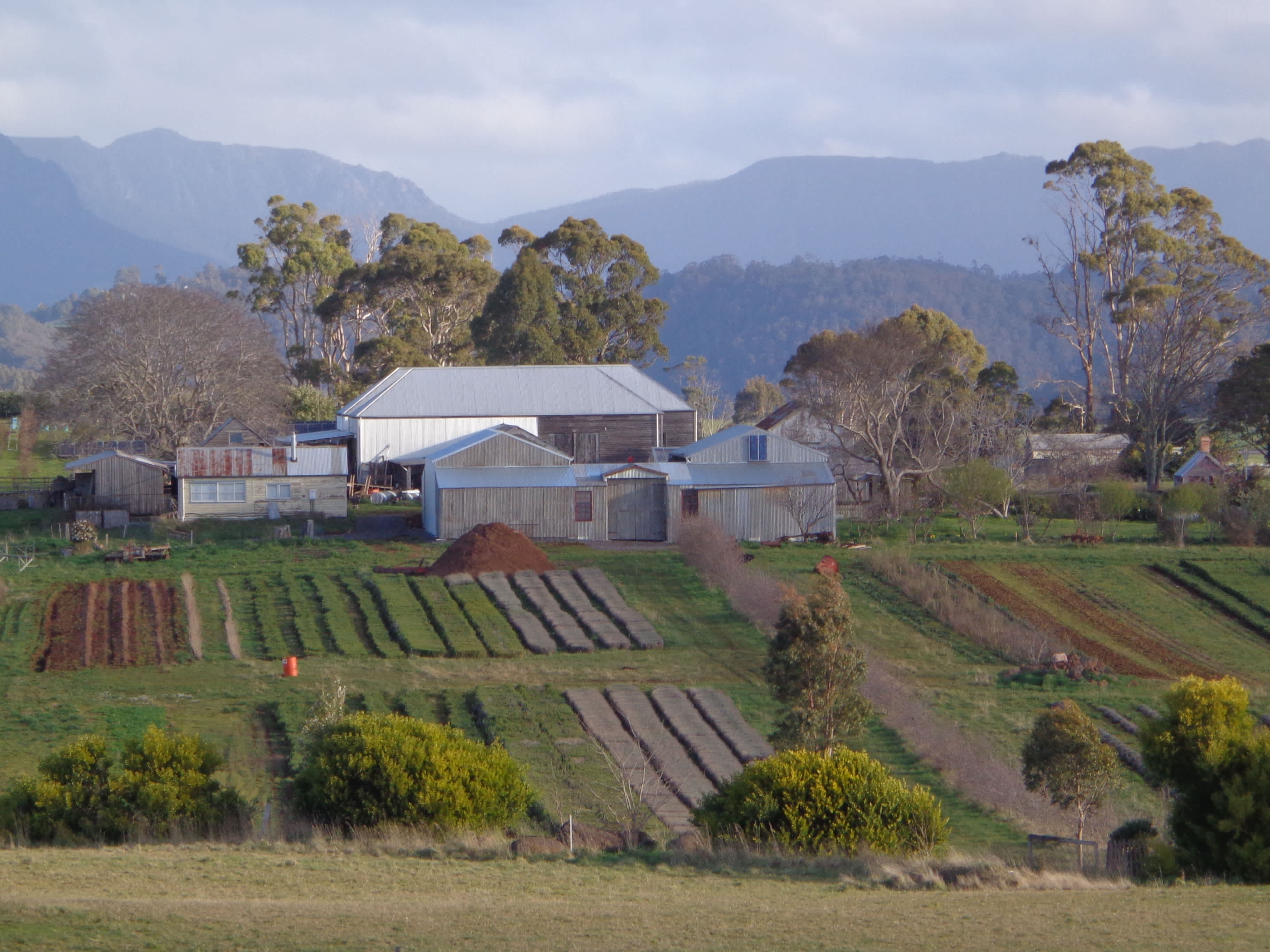 herbfields and farmbuildings