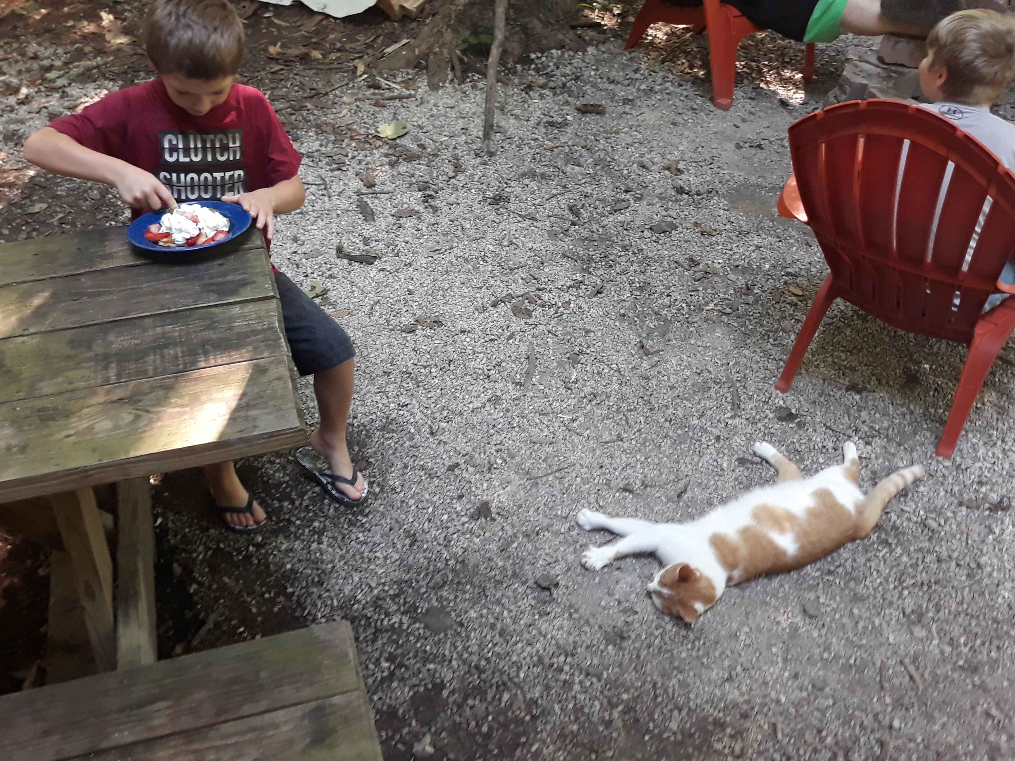 Sawdust FarmCamp