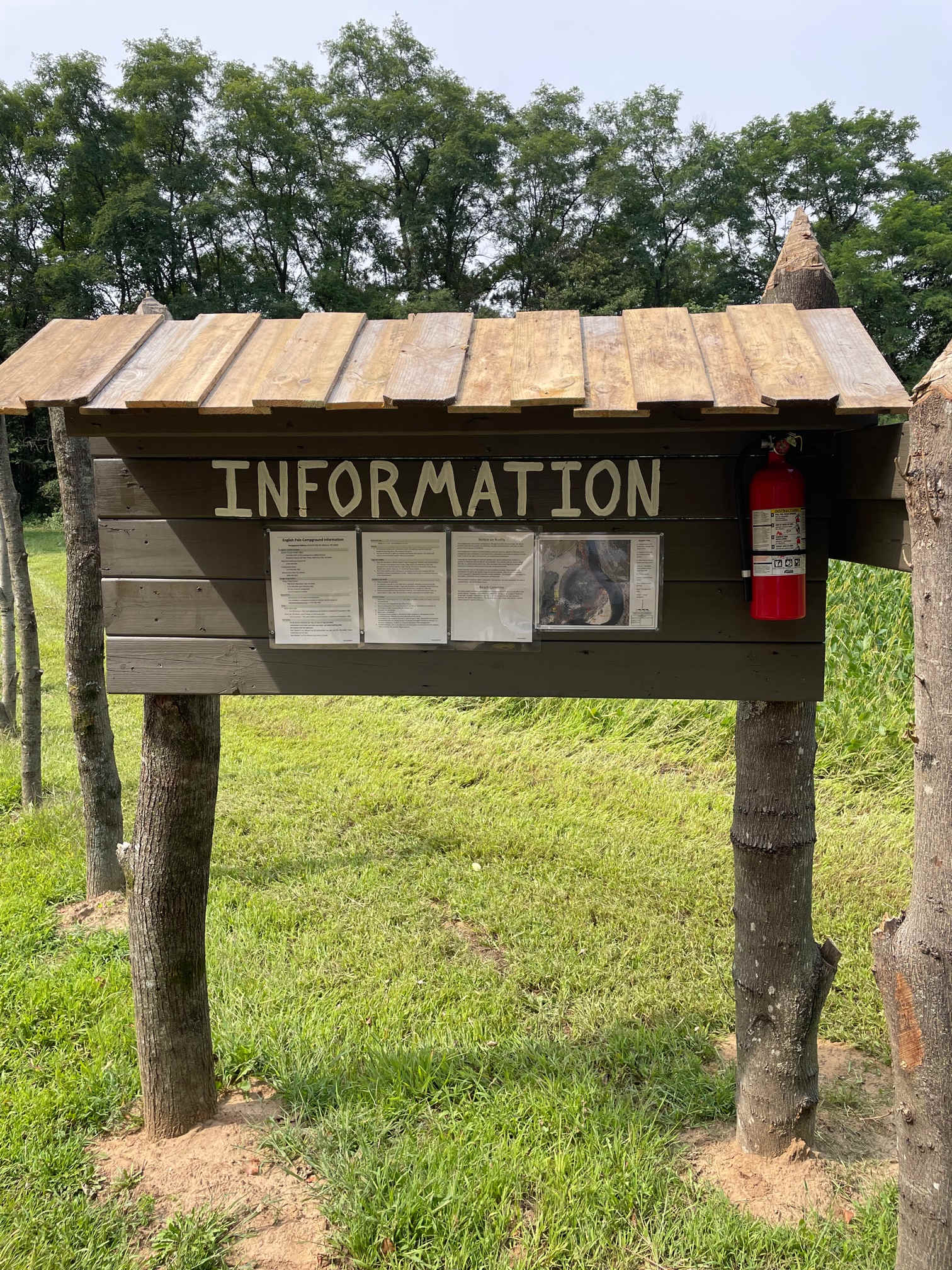 Picture of the site