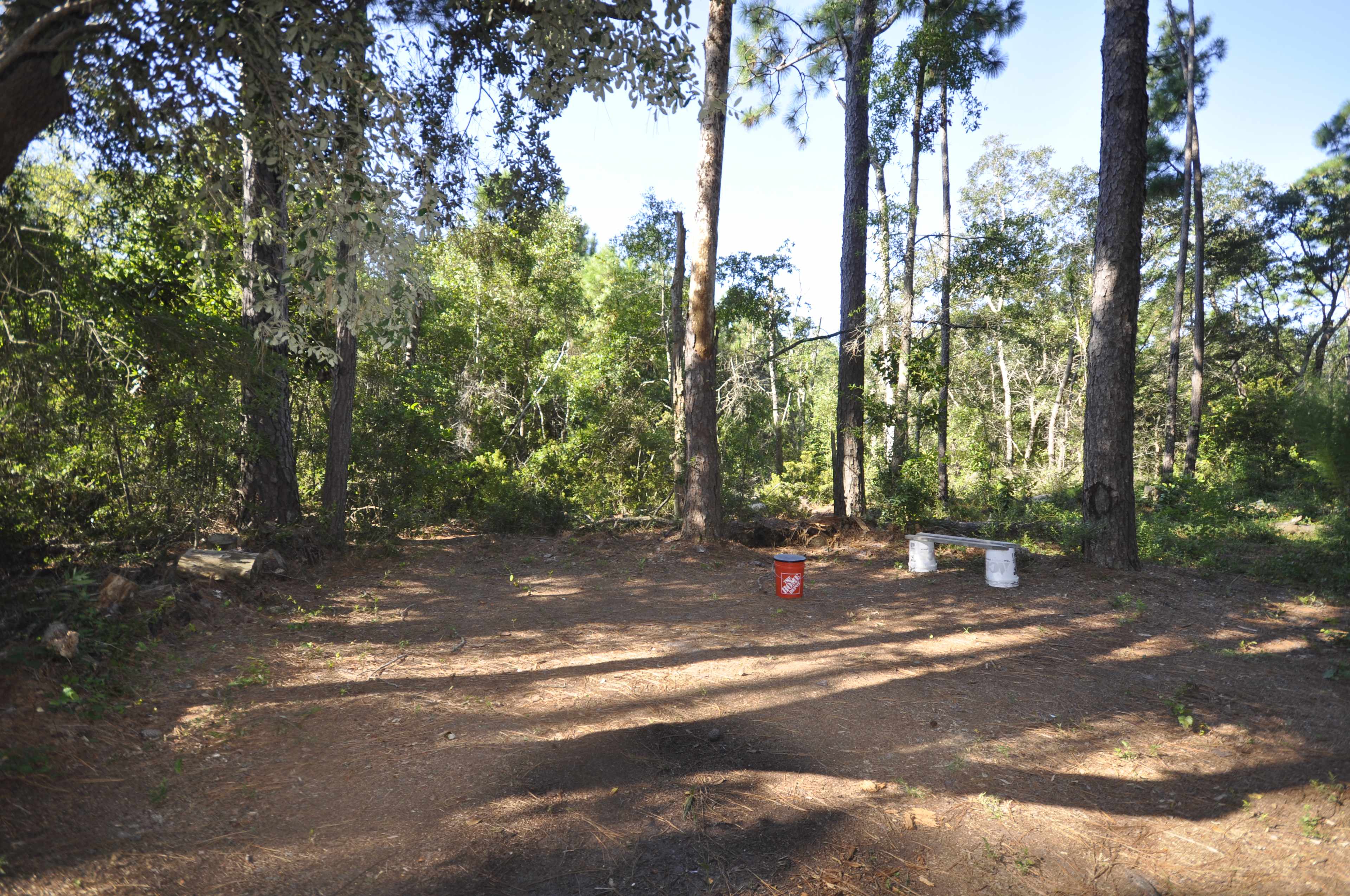 Pine forest, 5 minutes to the beach