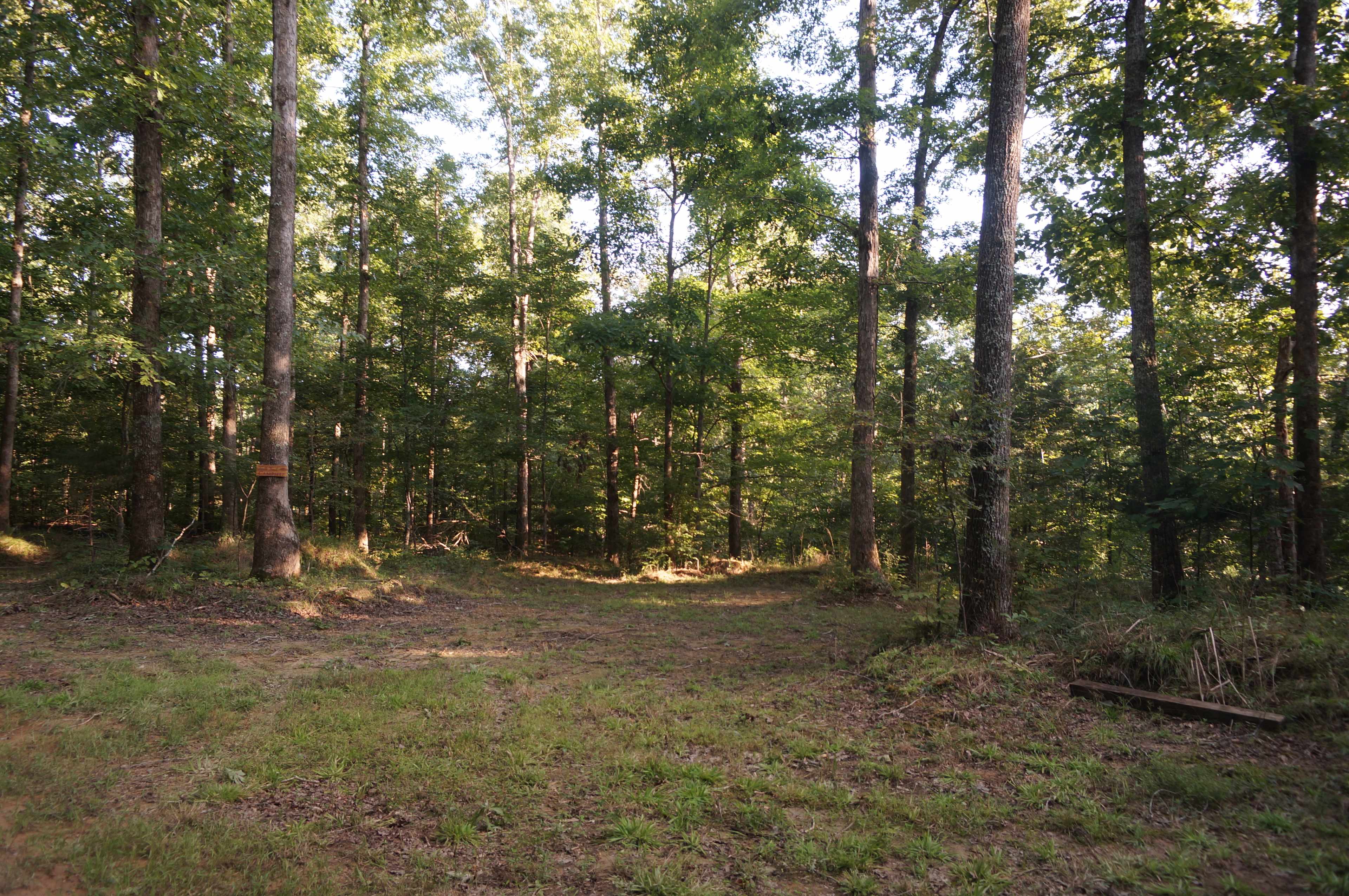 This is your view from the campsite. Across the lane is Turtle Trail campsite. It’s a good distance to still have your privacy and feel secluded. All guests are asked to be respectful of other guests, so rest assured, you can have a great time camping here!
