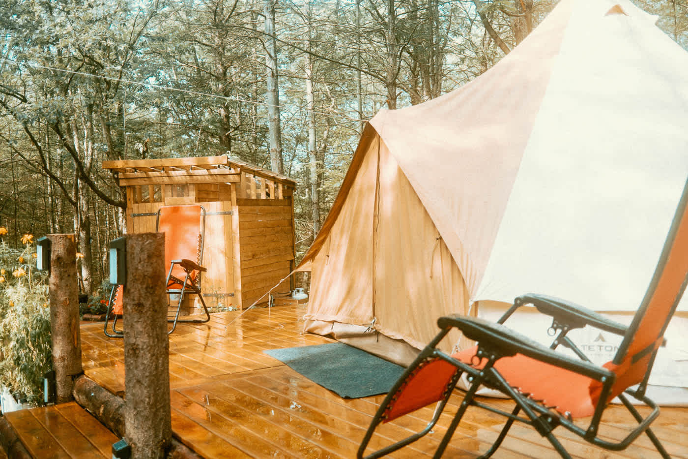 Picture of the site