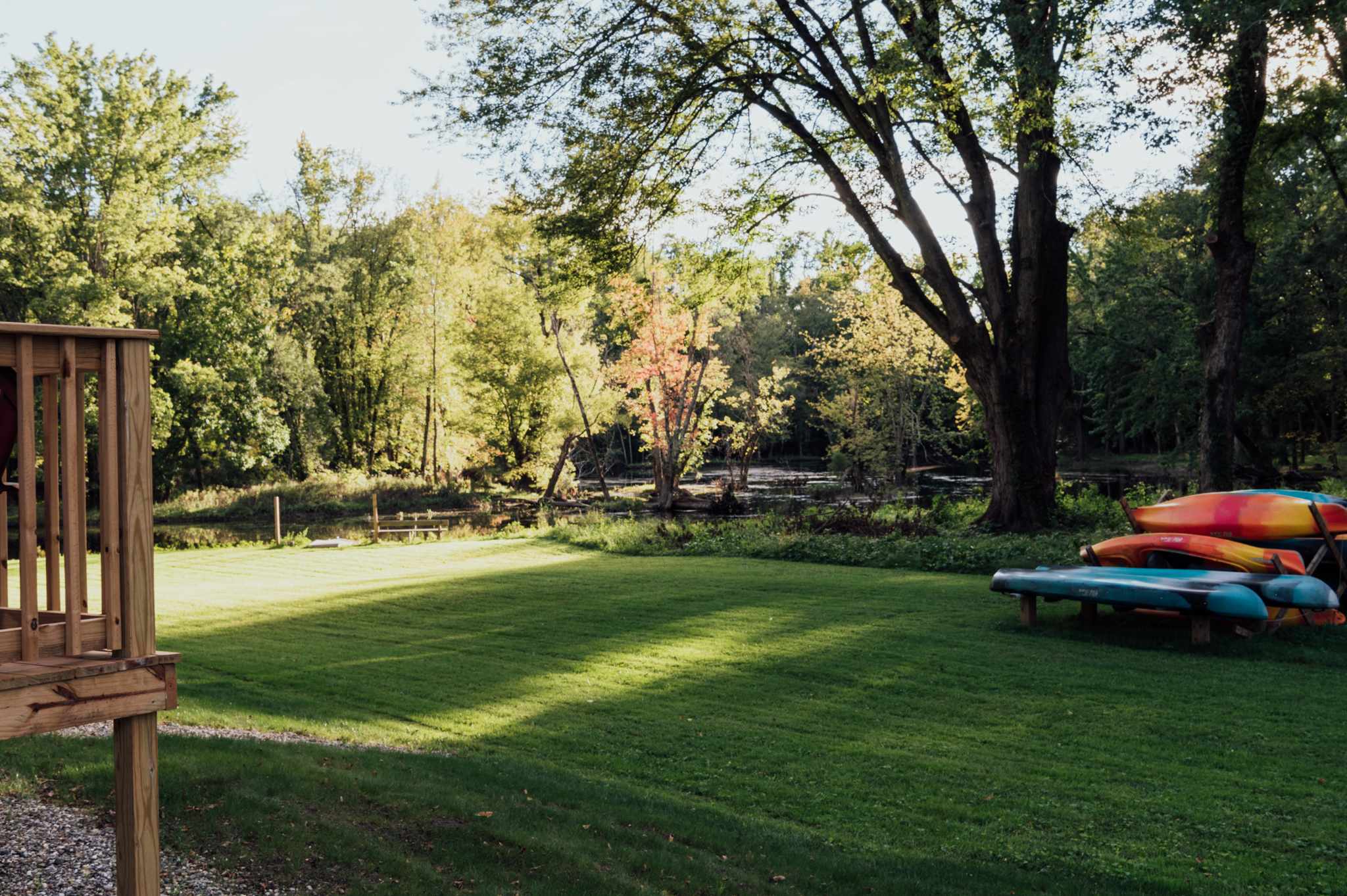 Backyard views