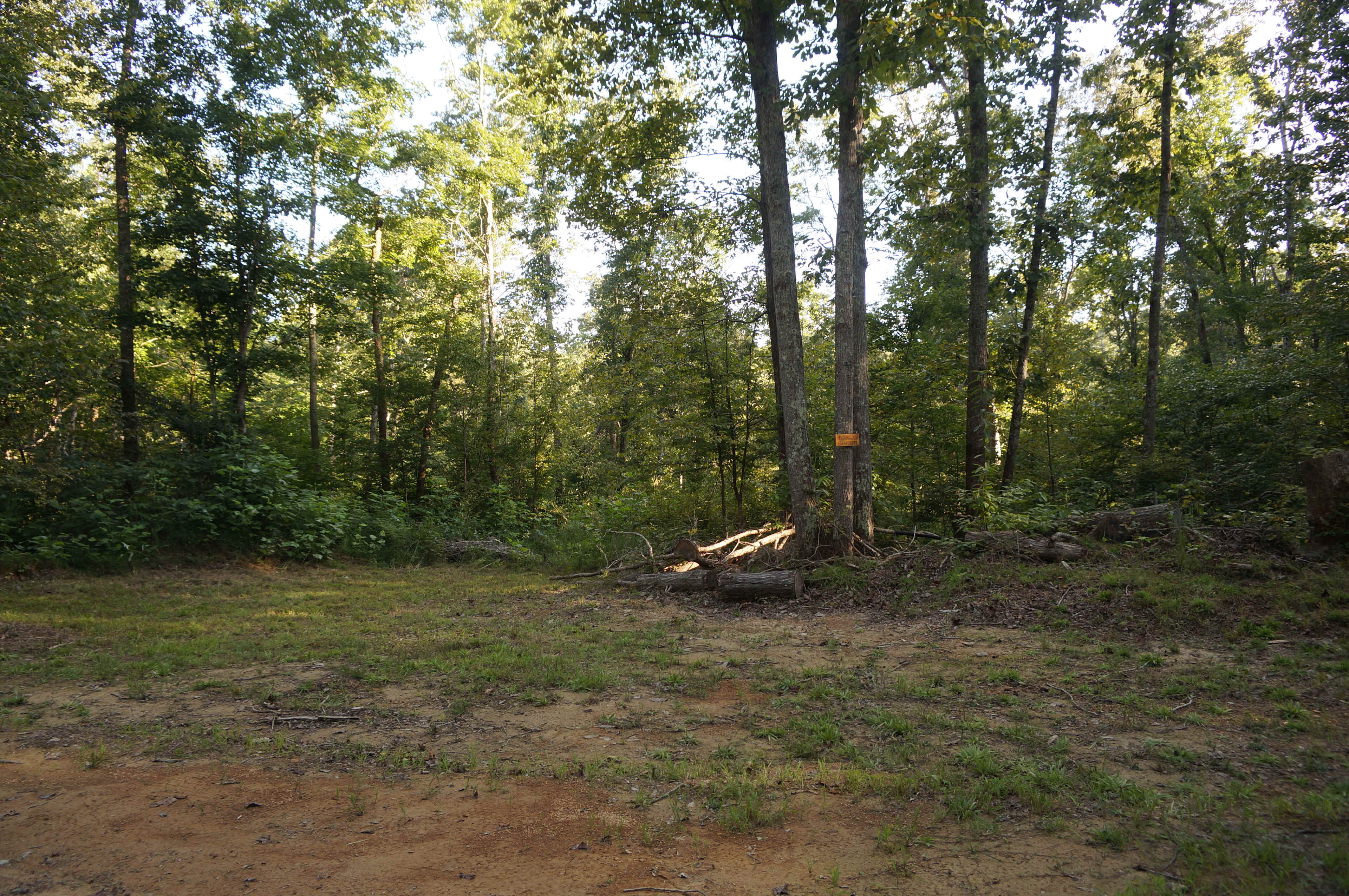 This campsite is 0.2 miles from the bottom of the hill at the Lodge.