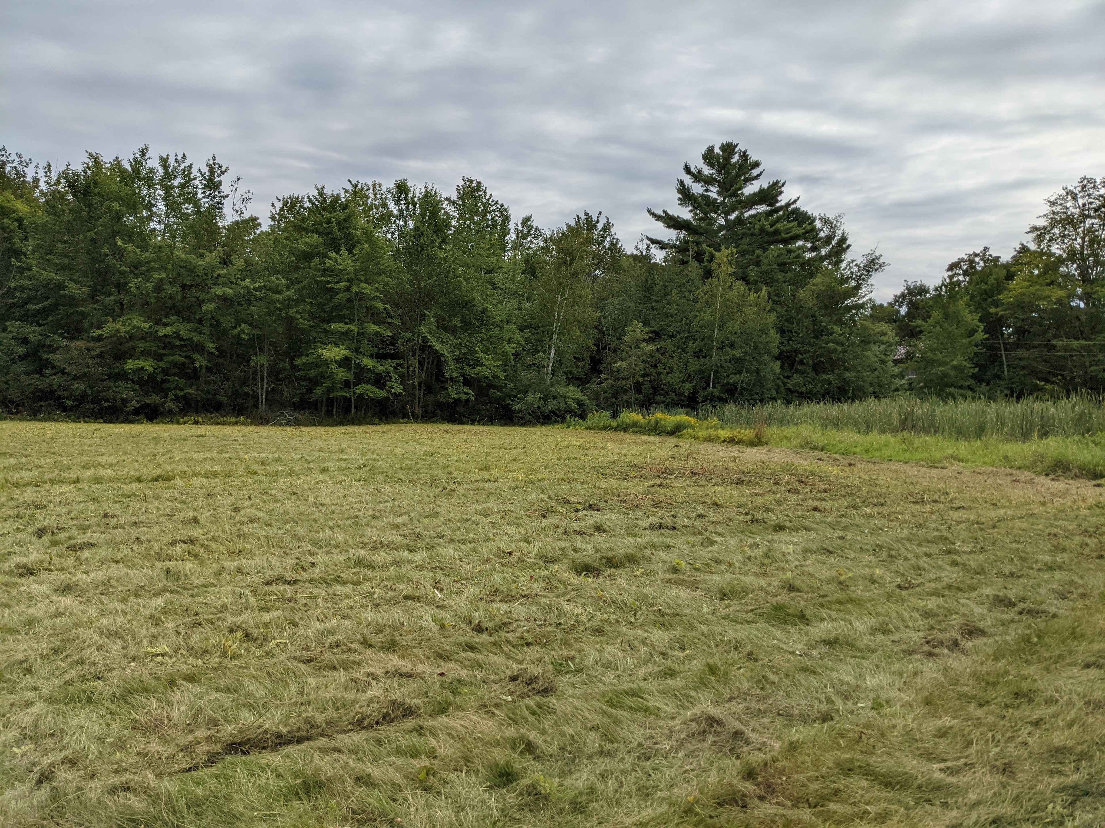 Private field next to a pond 