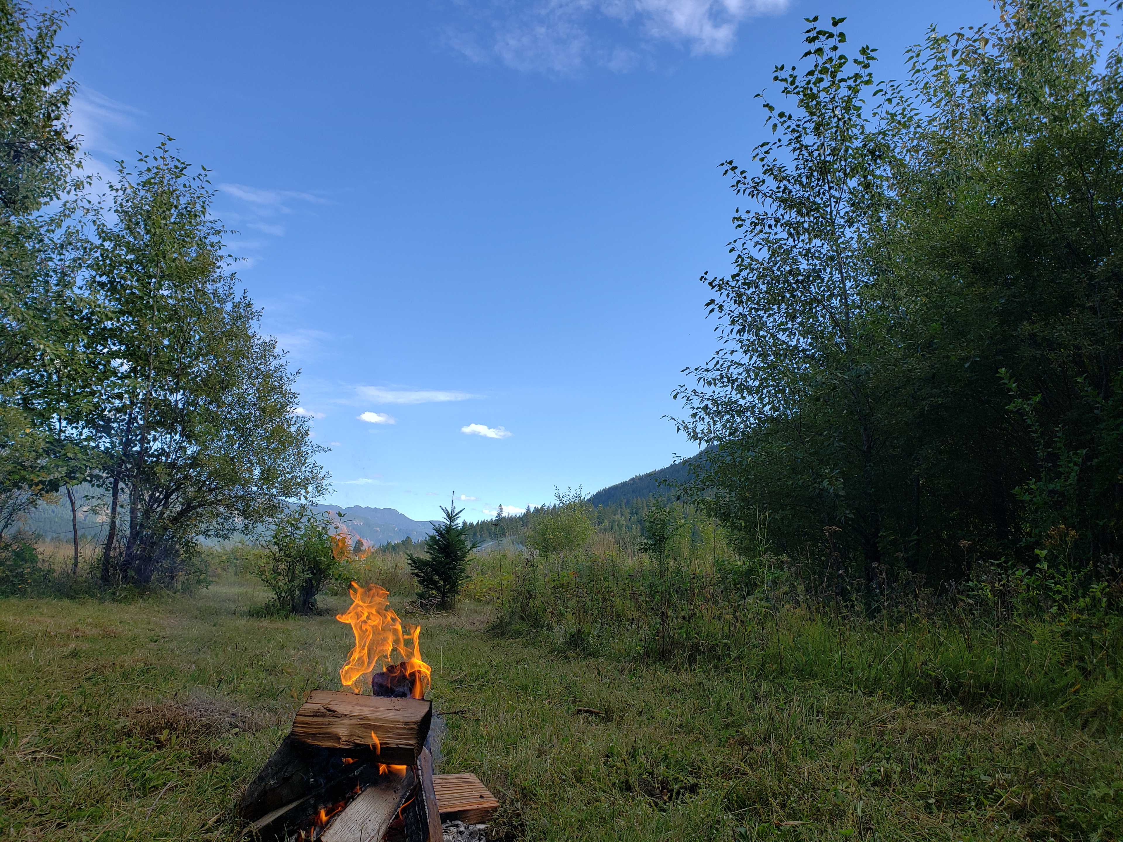 Picture of the site