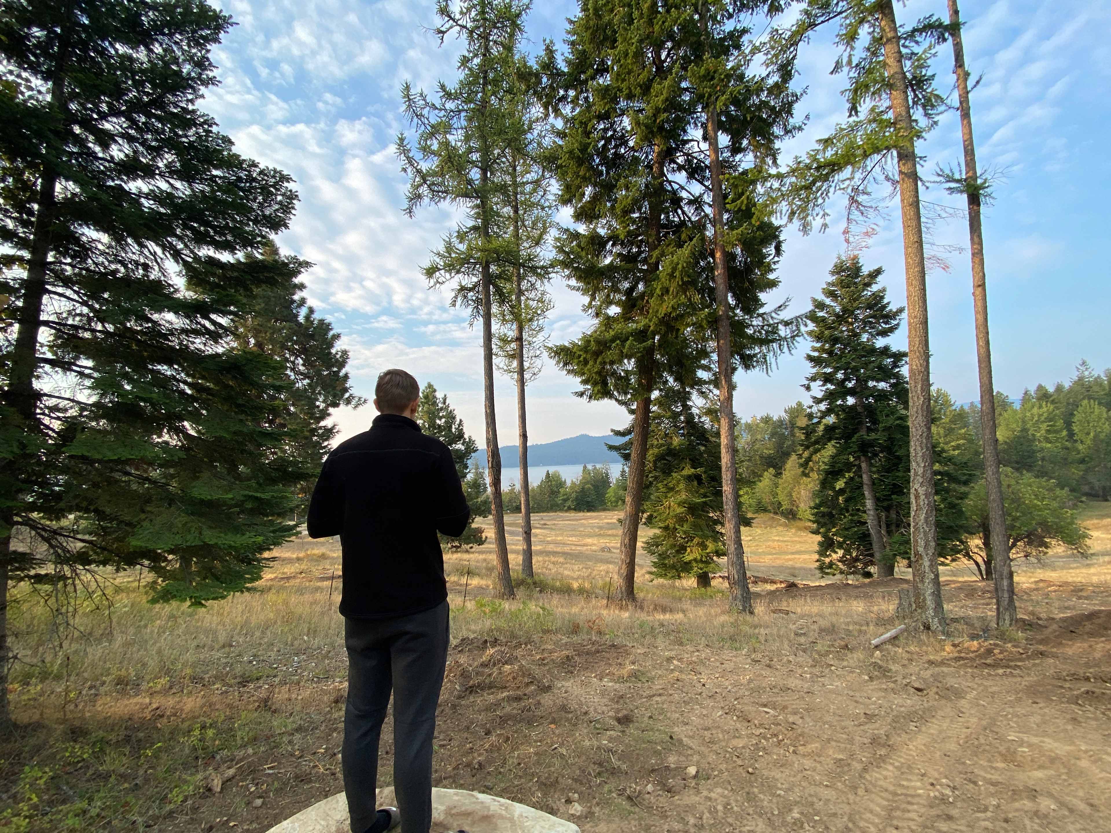 Picture of the site