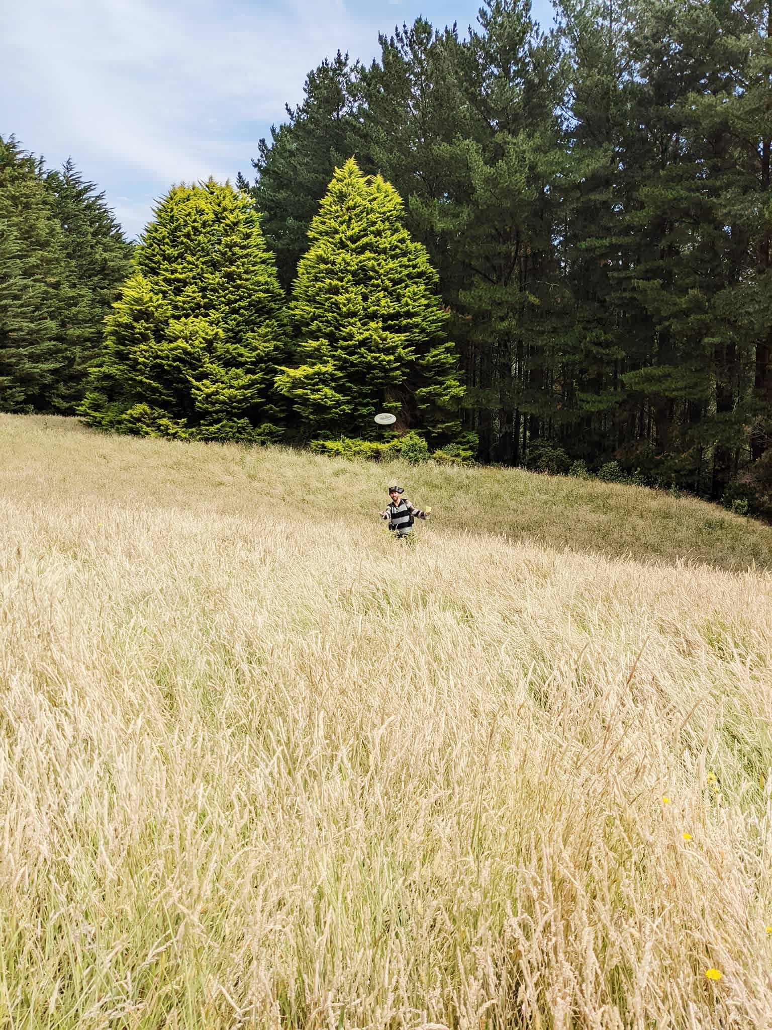Waldheim - Our Home in the Forest