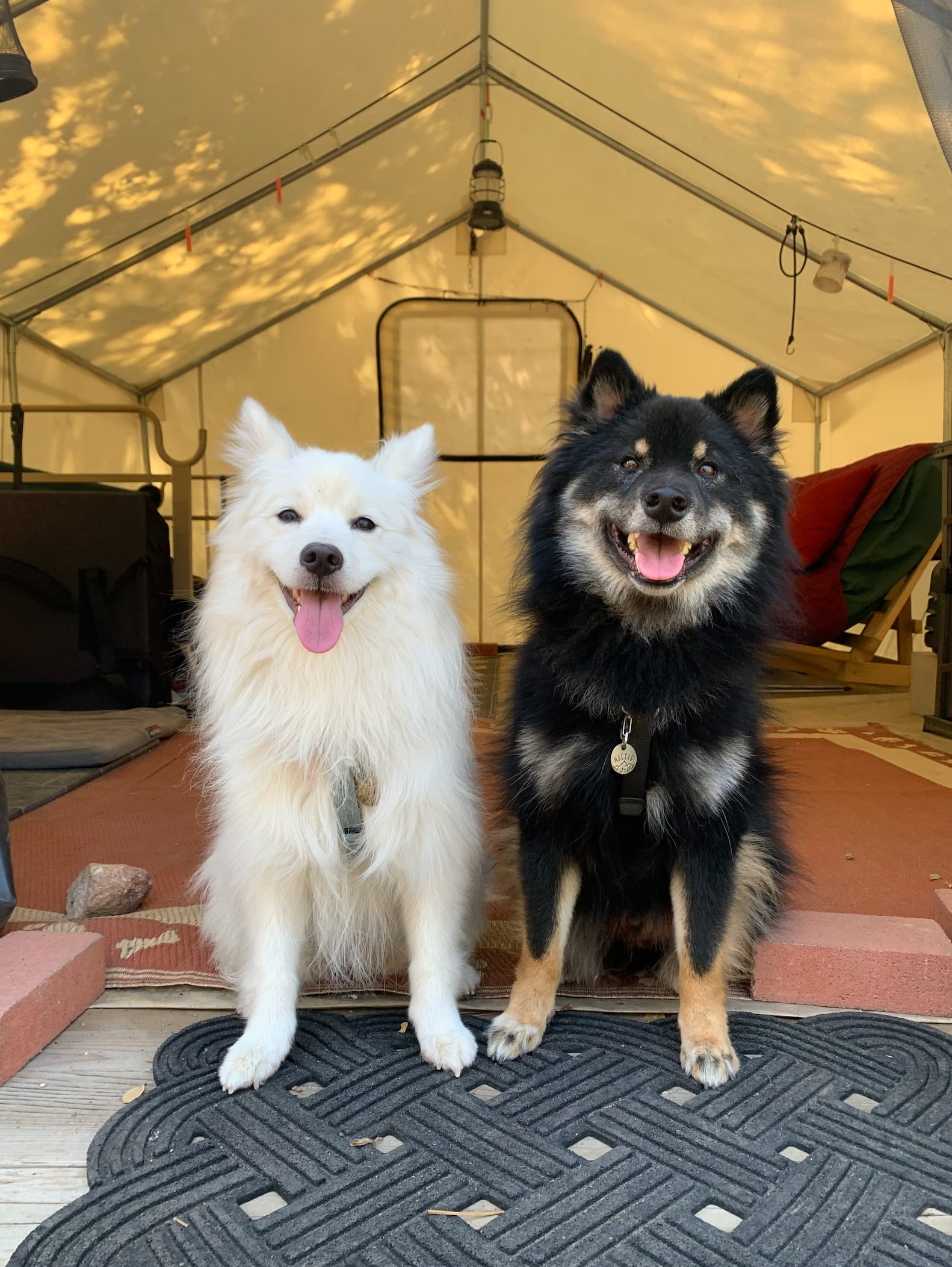 Happy campers.