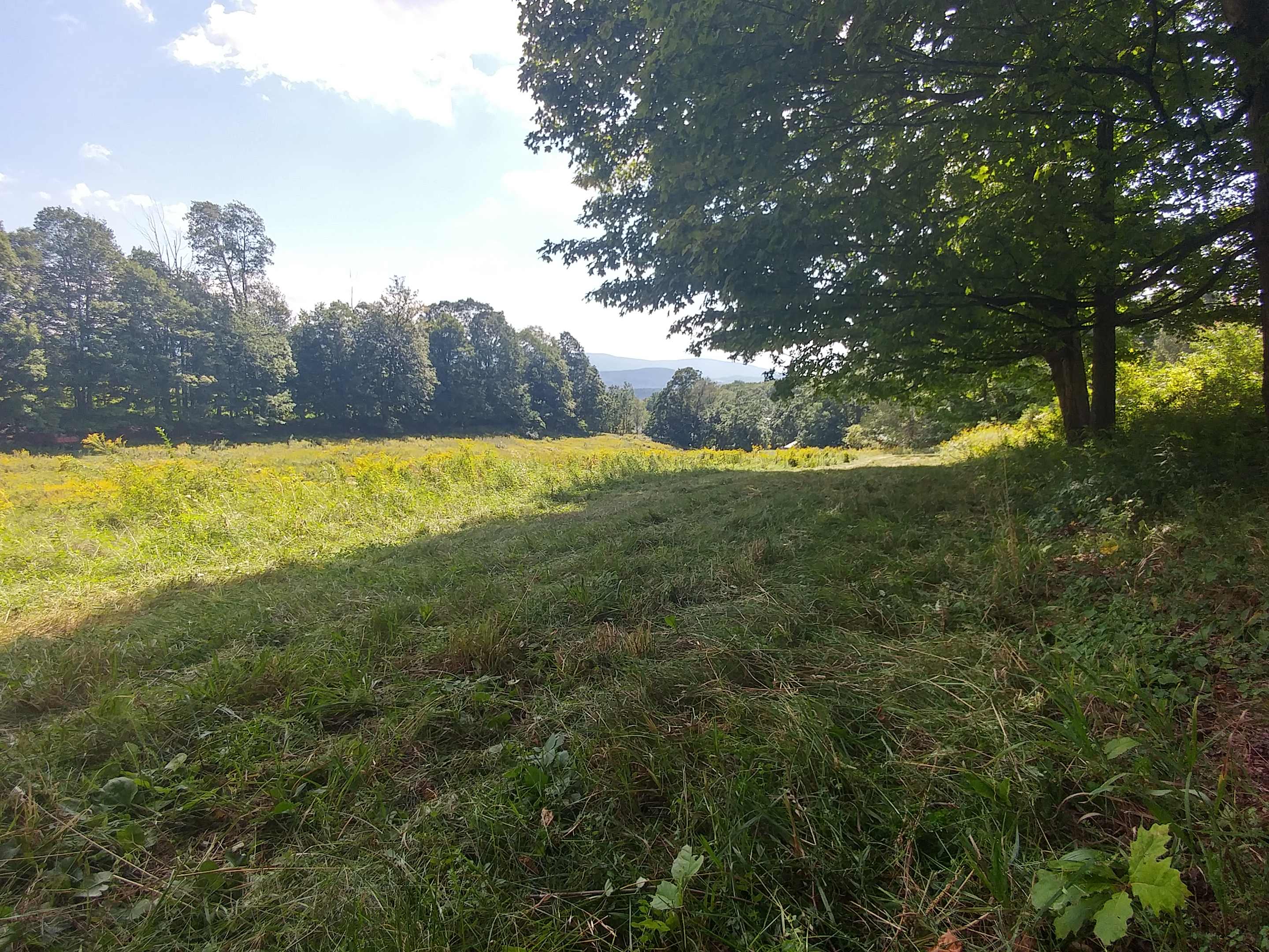 Timbertrail Farm