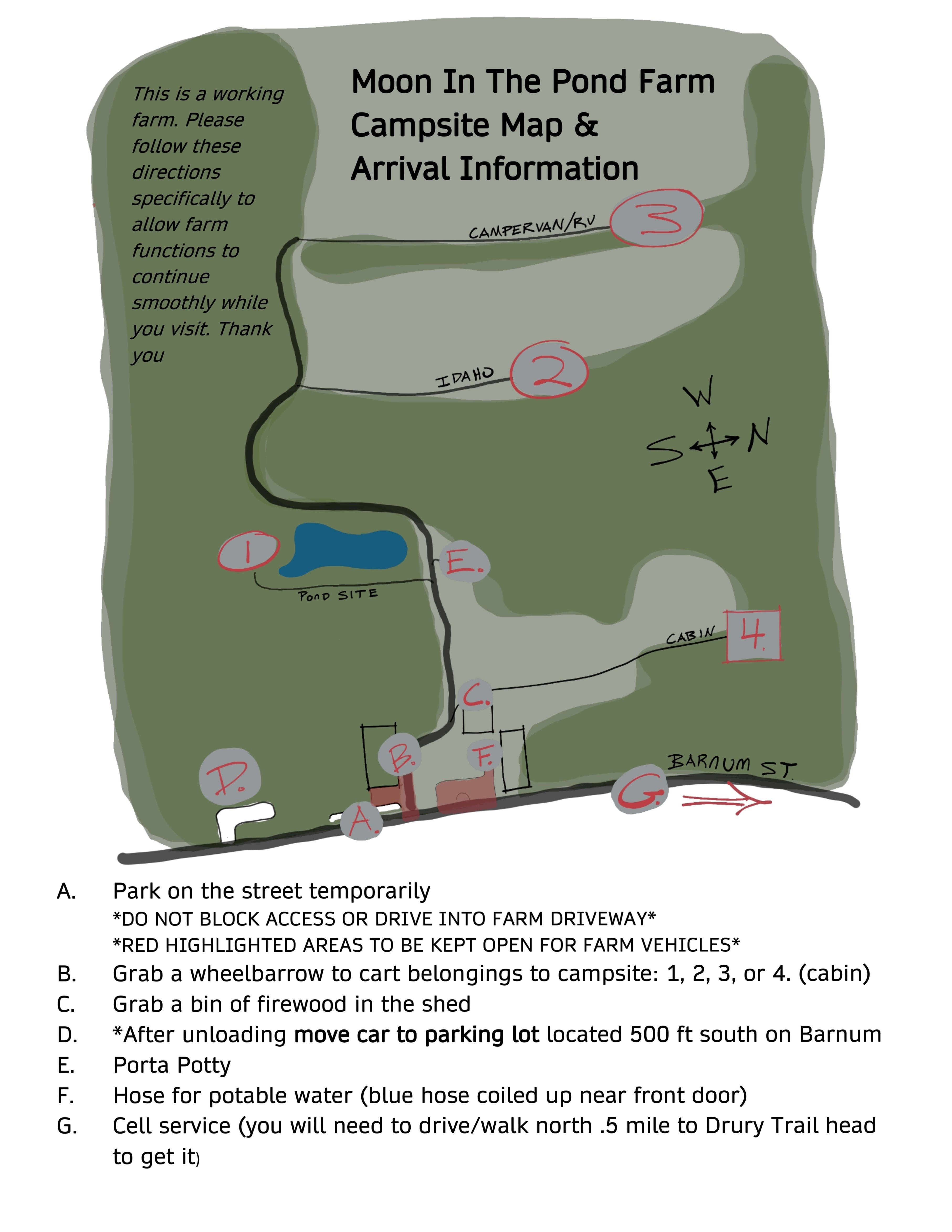 Picture of the site