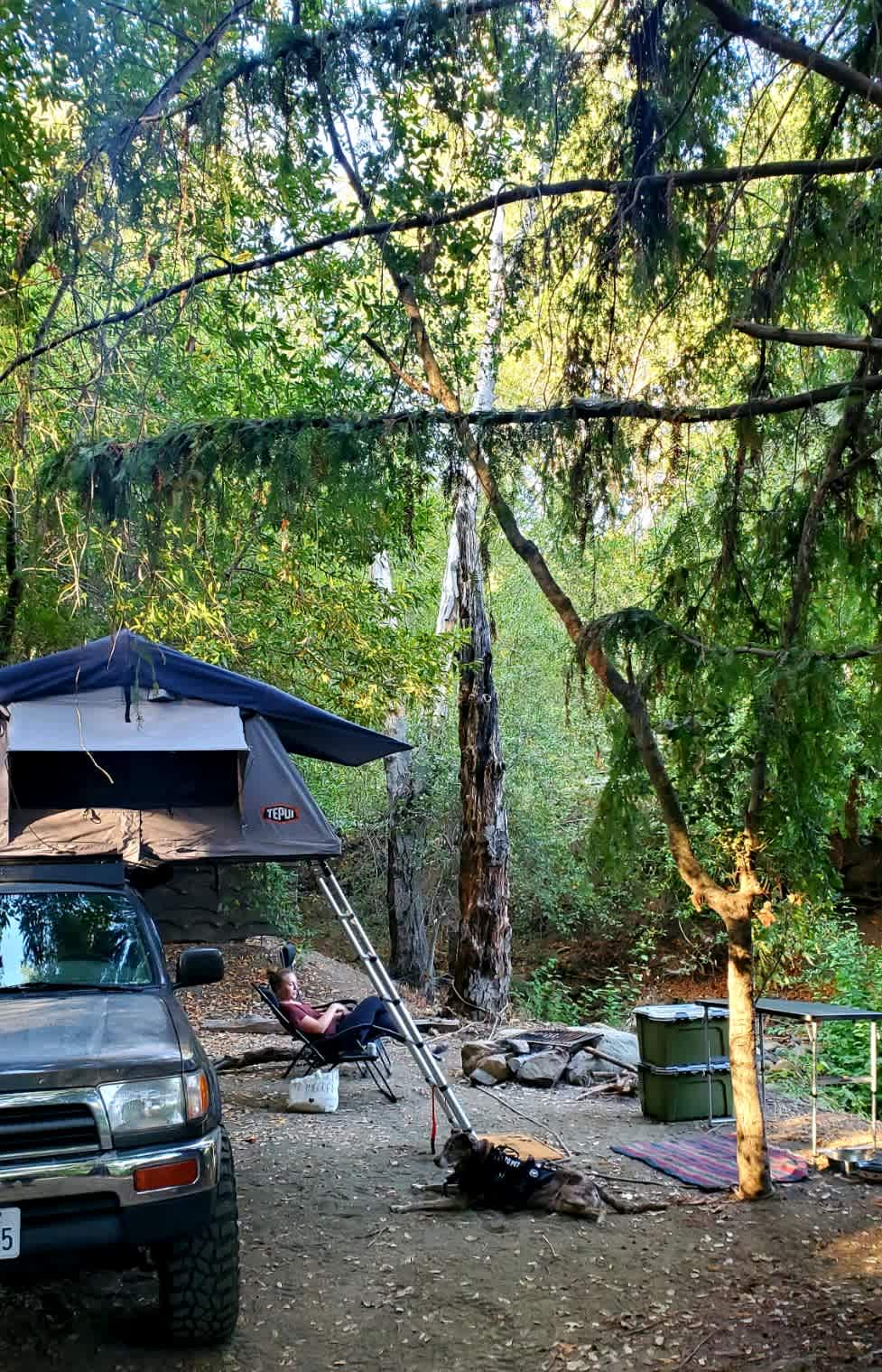 Picture of the site