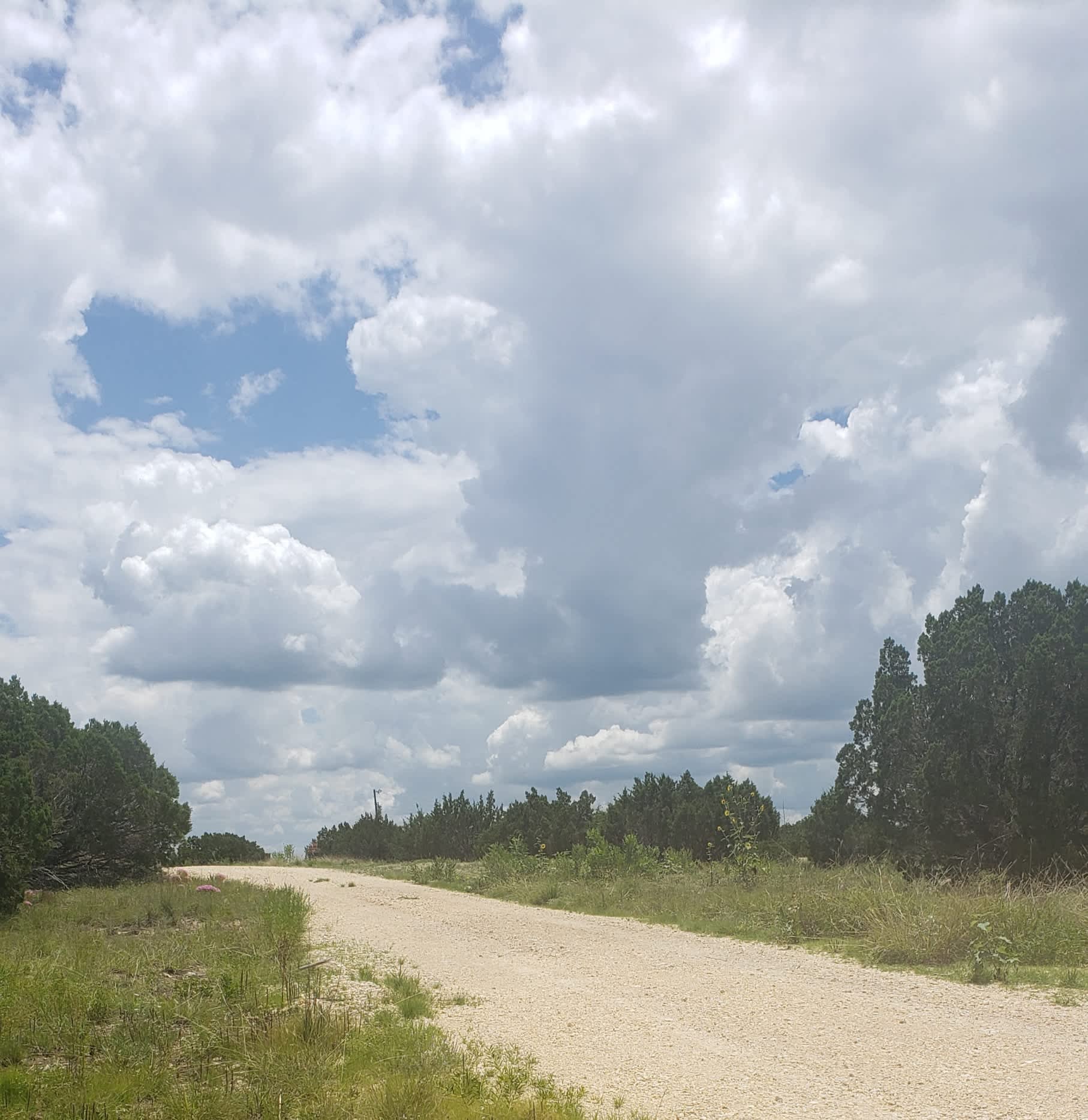Fossil Bed Camp