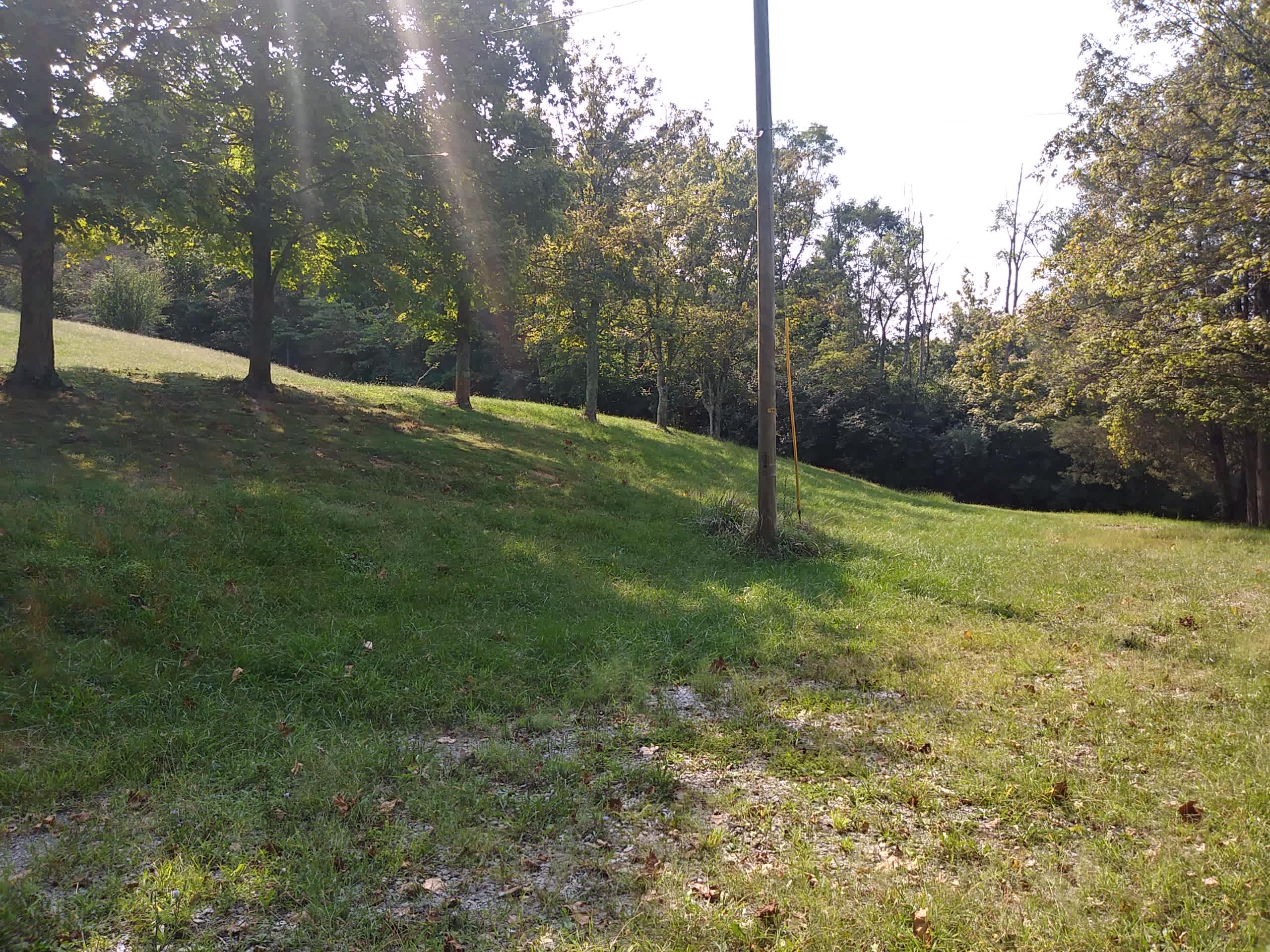Looking back at driveway from barn. Trash receptacle to the right