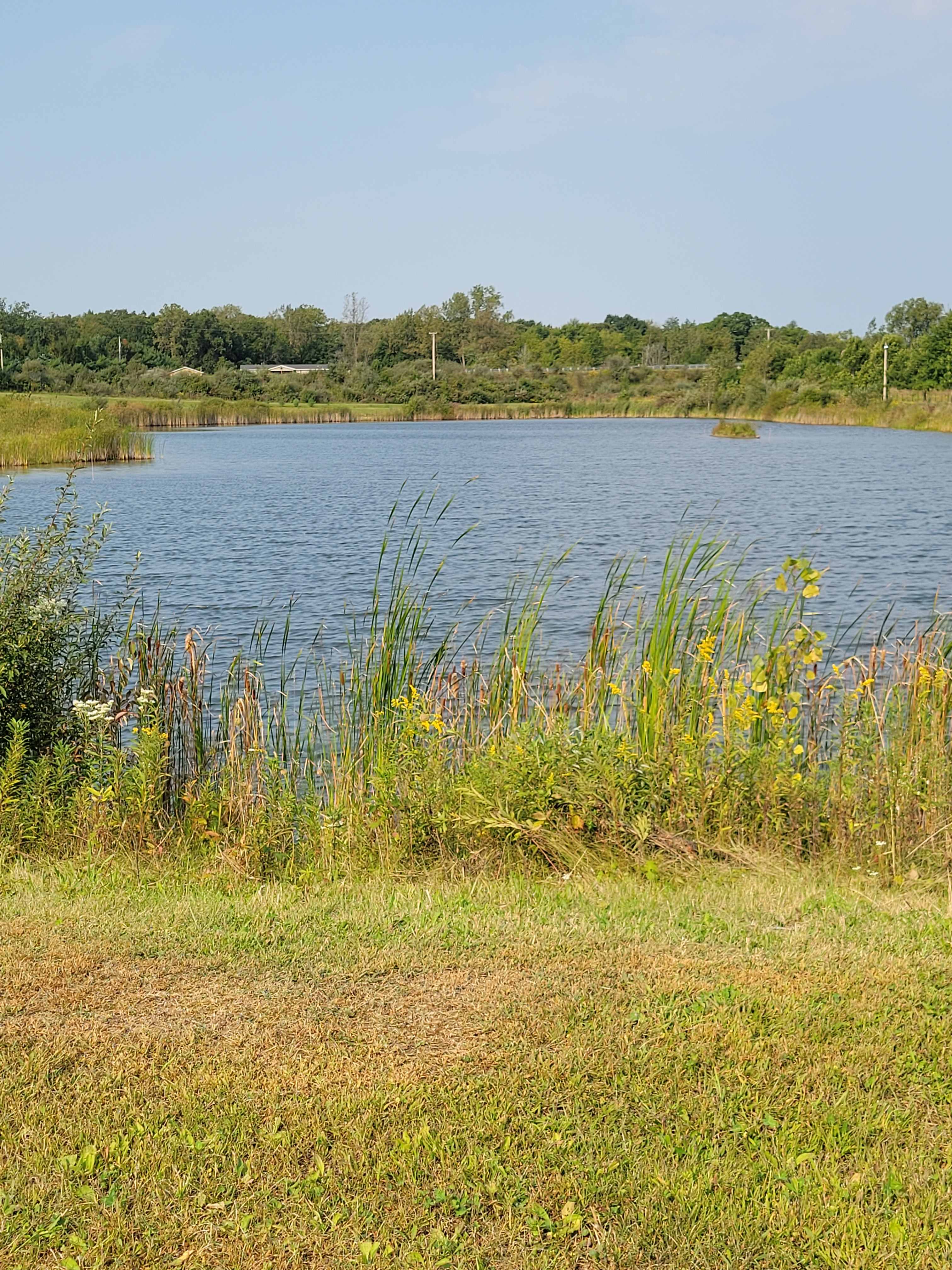 Beautiful pond.