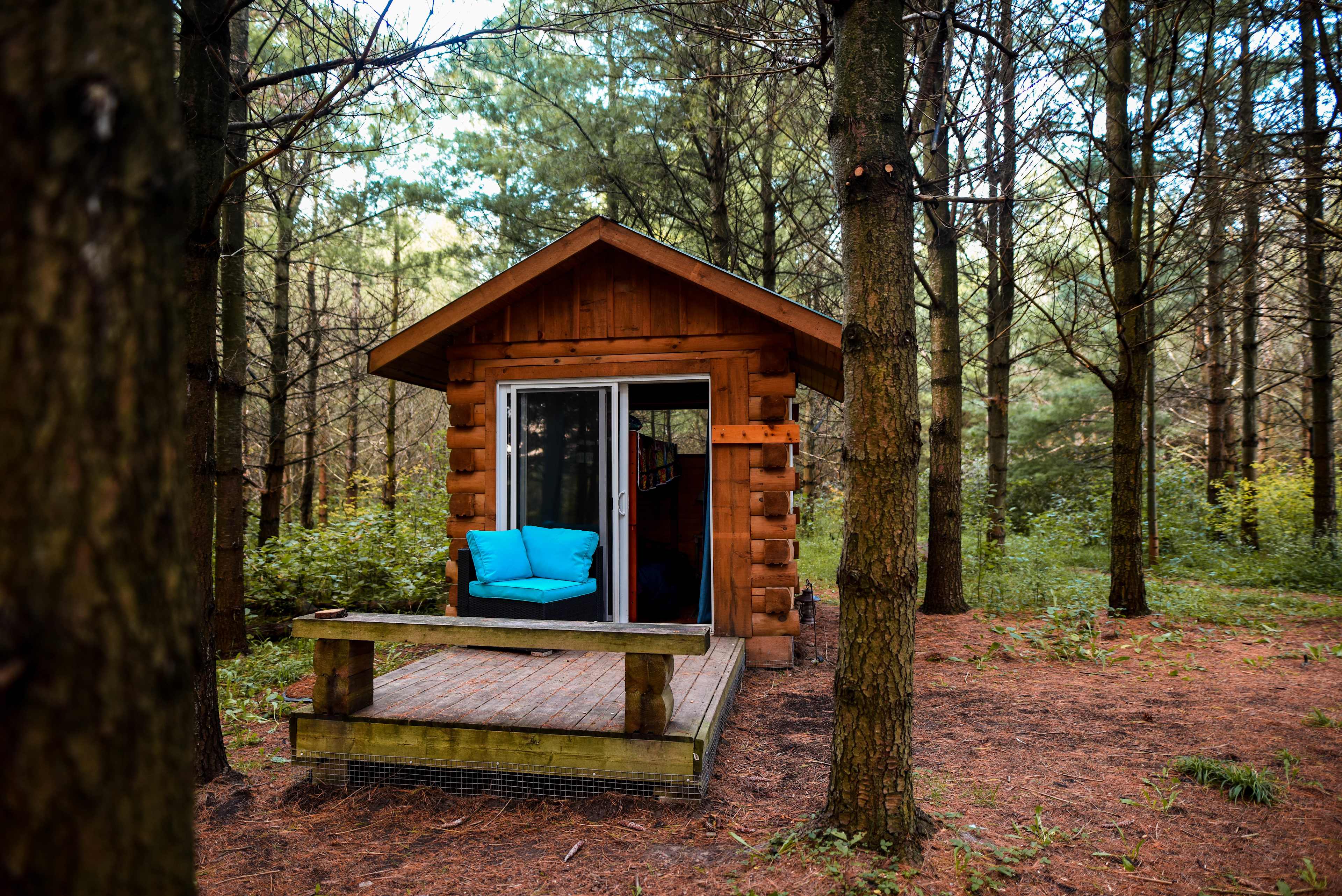 bunkie