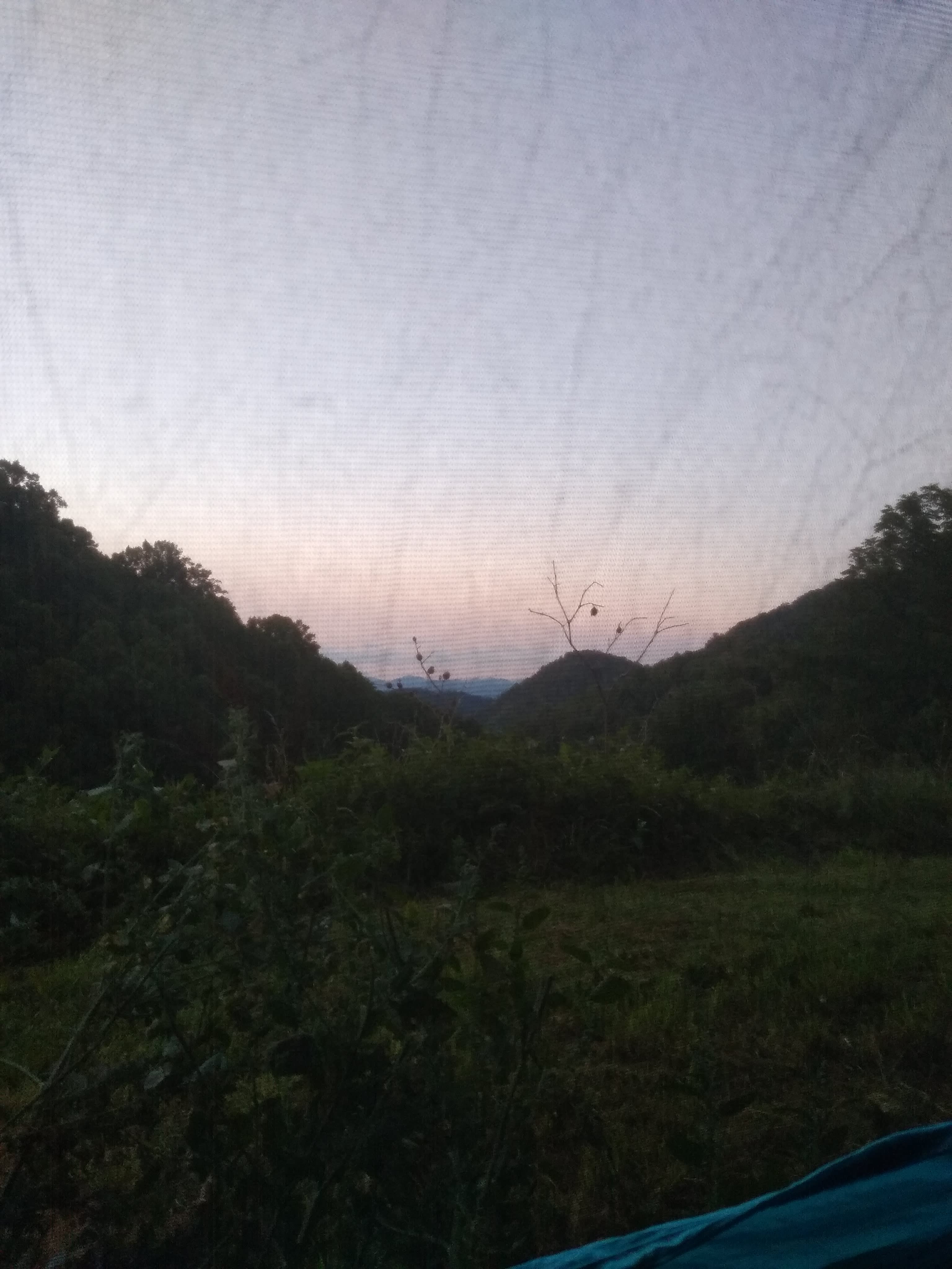 Morning view from the campsite at Tangle Cove, as seen through my hammock bug net!