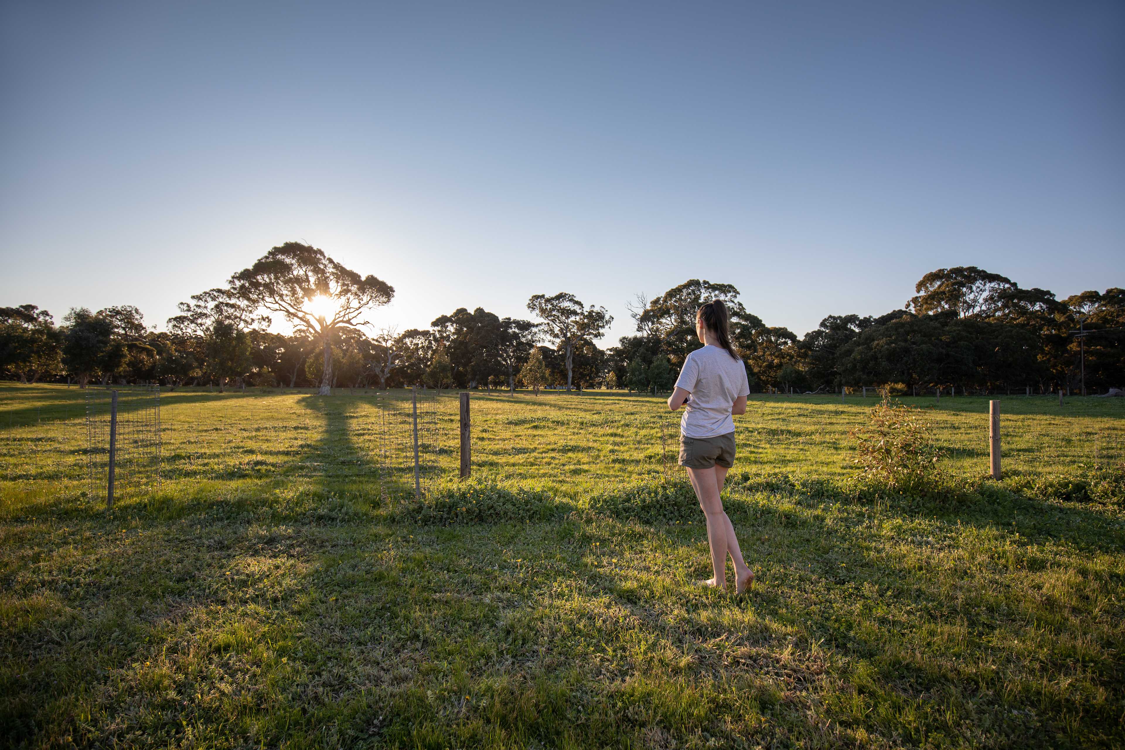 Stunning spring sunrise at Wagon Flat