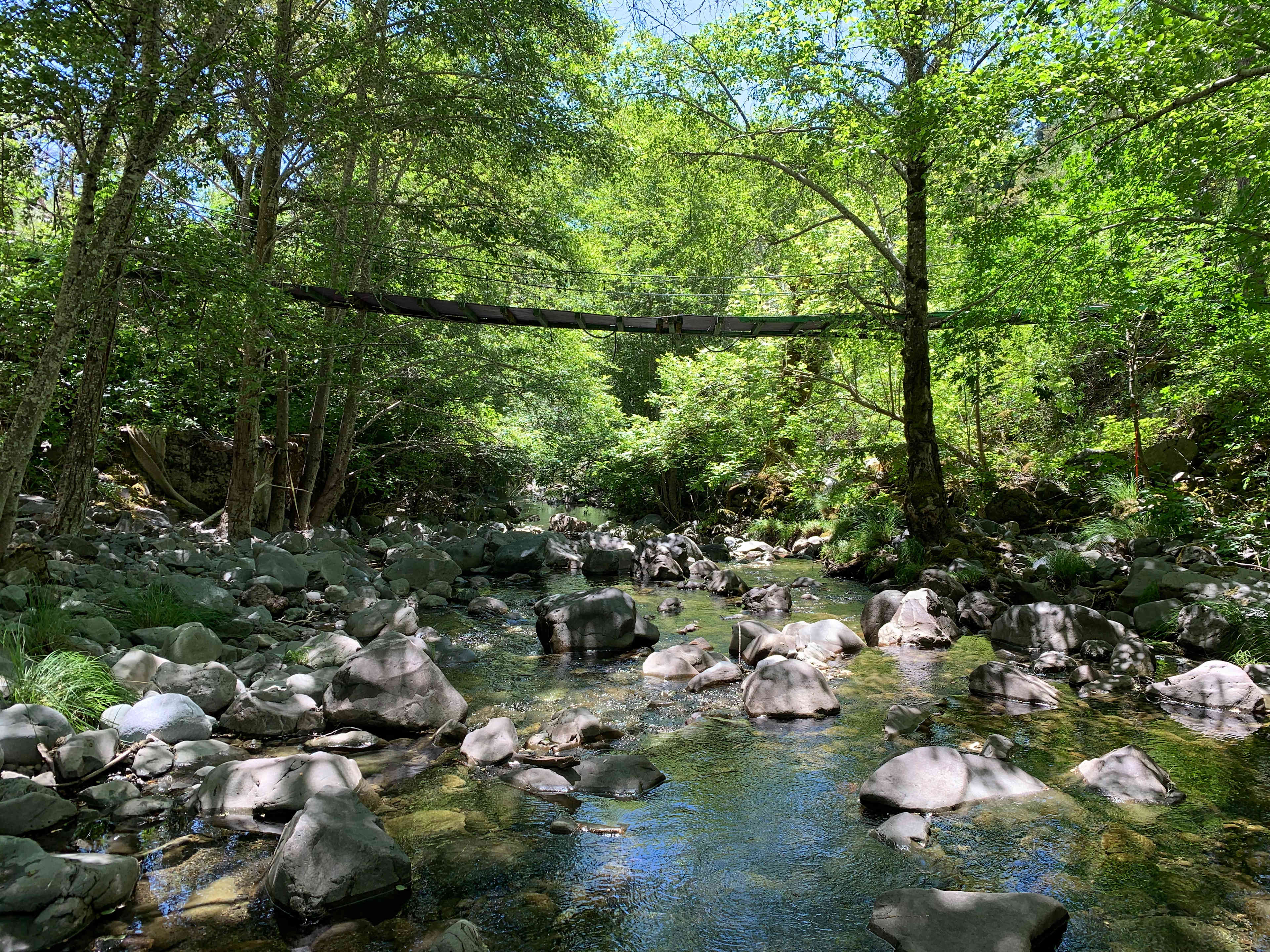 The crystal clear waters of Dutch Henry Creek