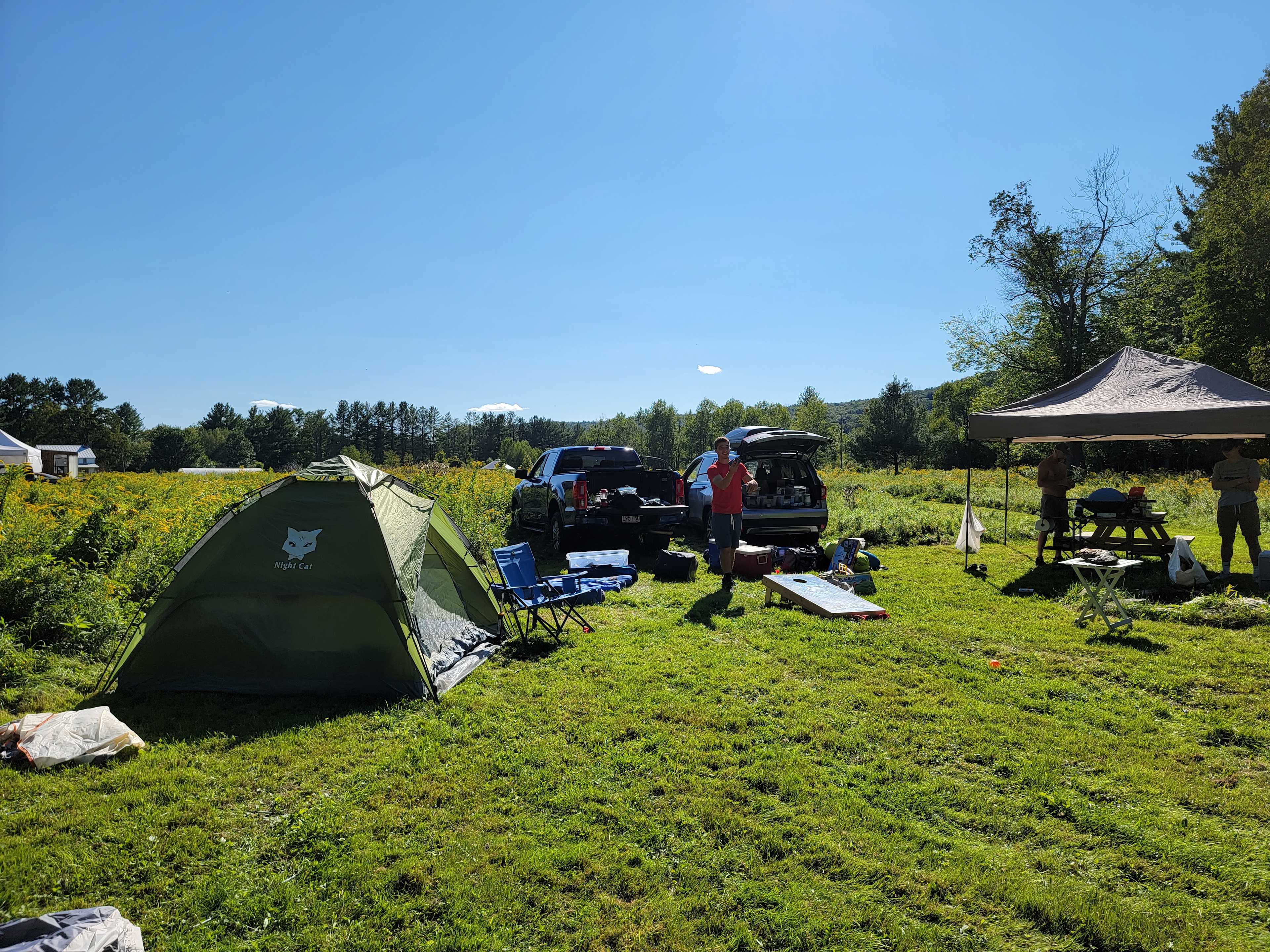 Picture of the site
