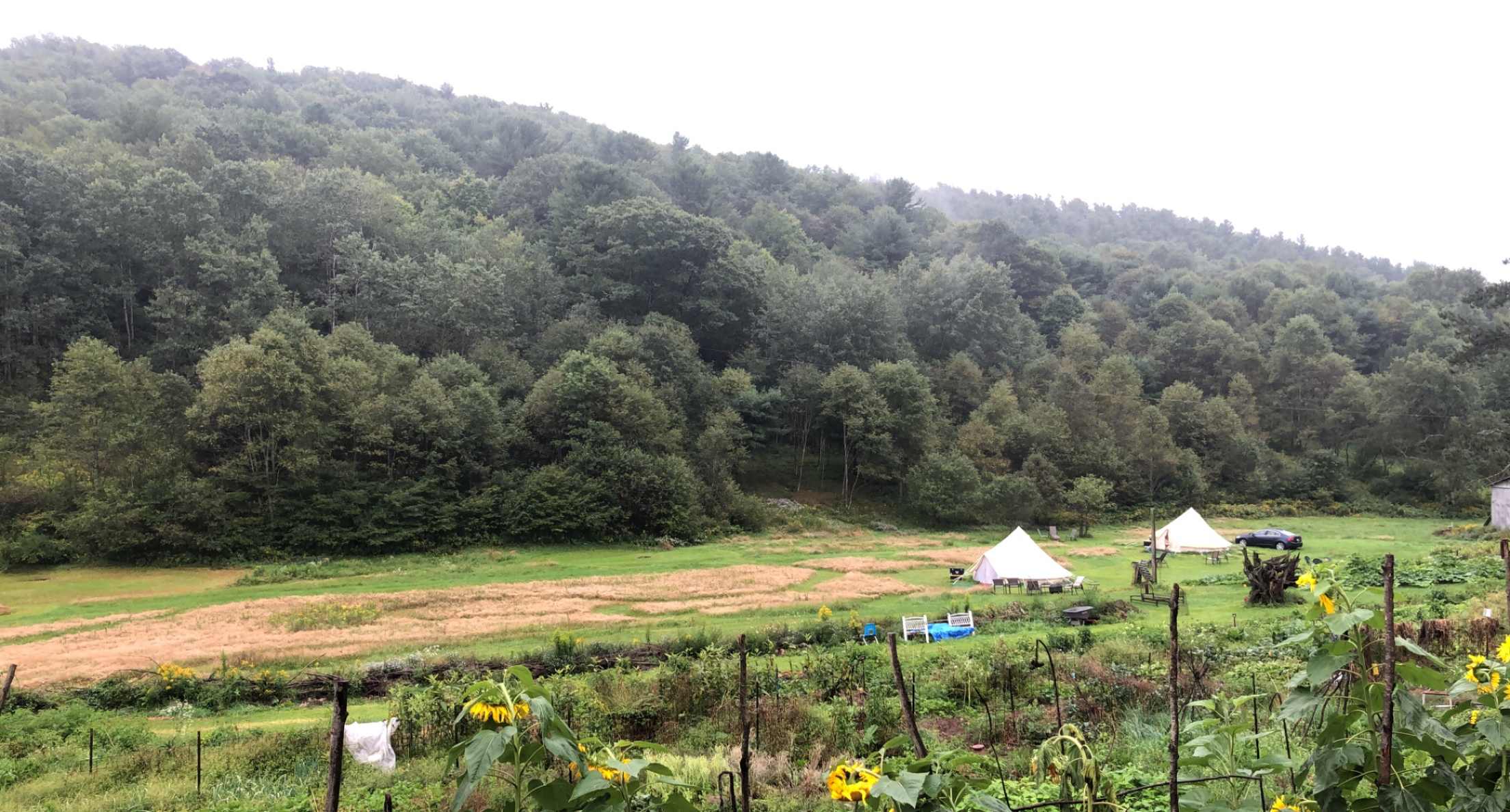 Stargazing Field at Olga Farm
