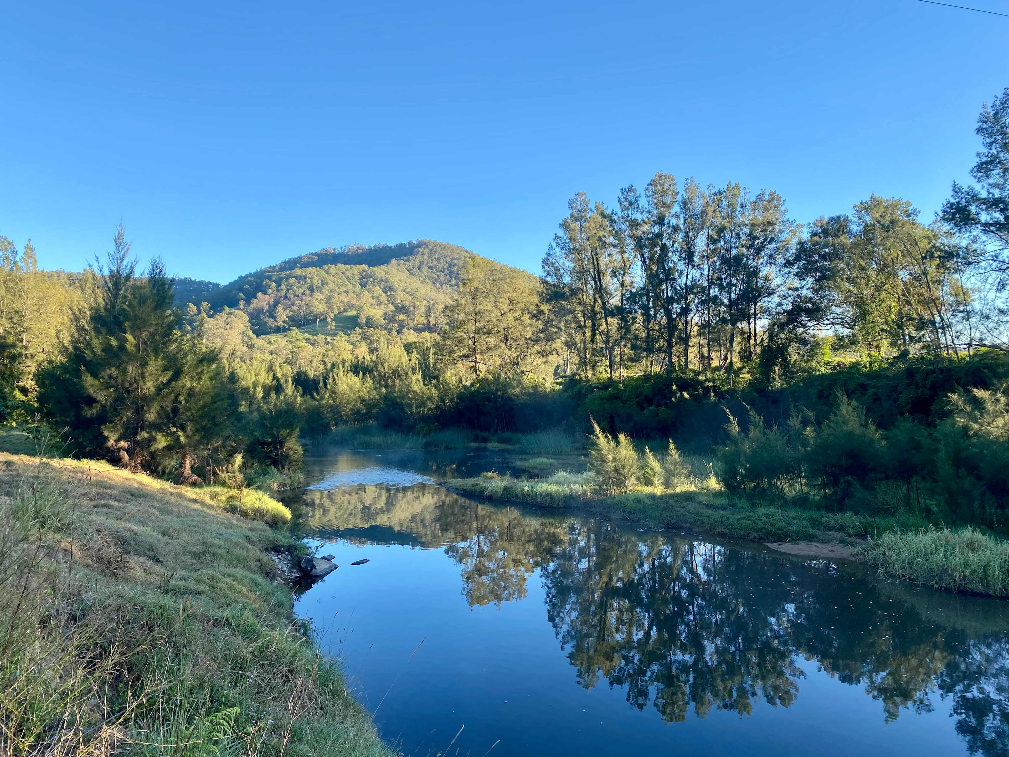 Guppy Gully on the Mary