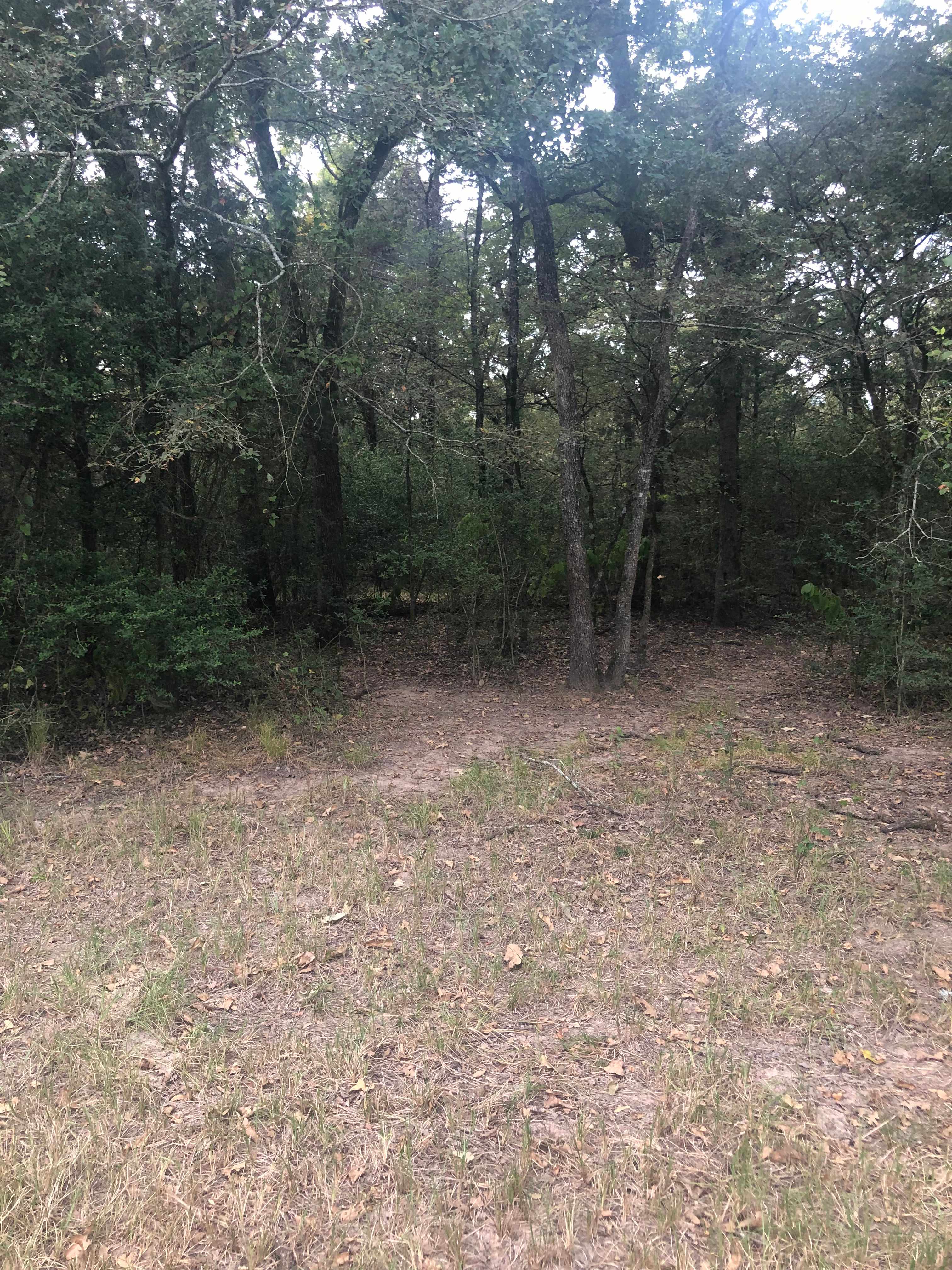 BJAllen’s Primitive Family Camping 