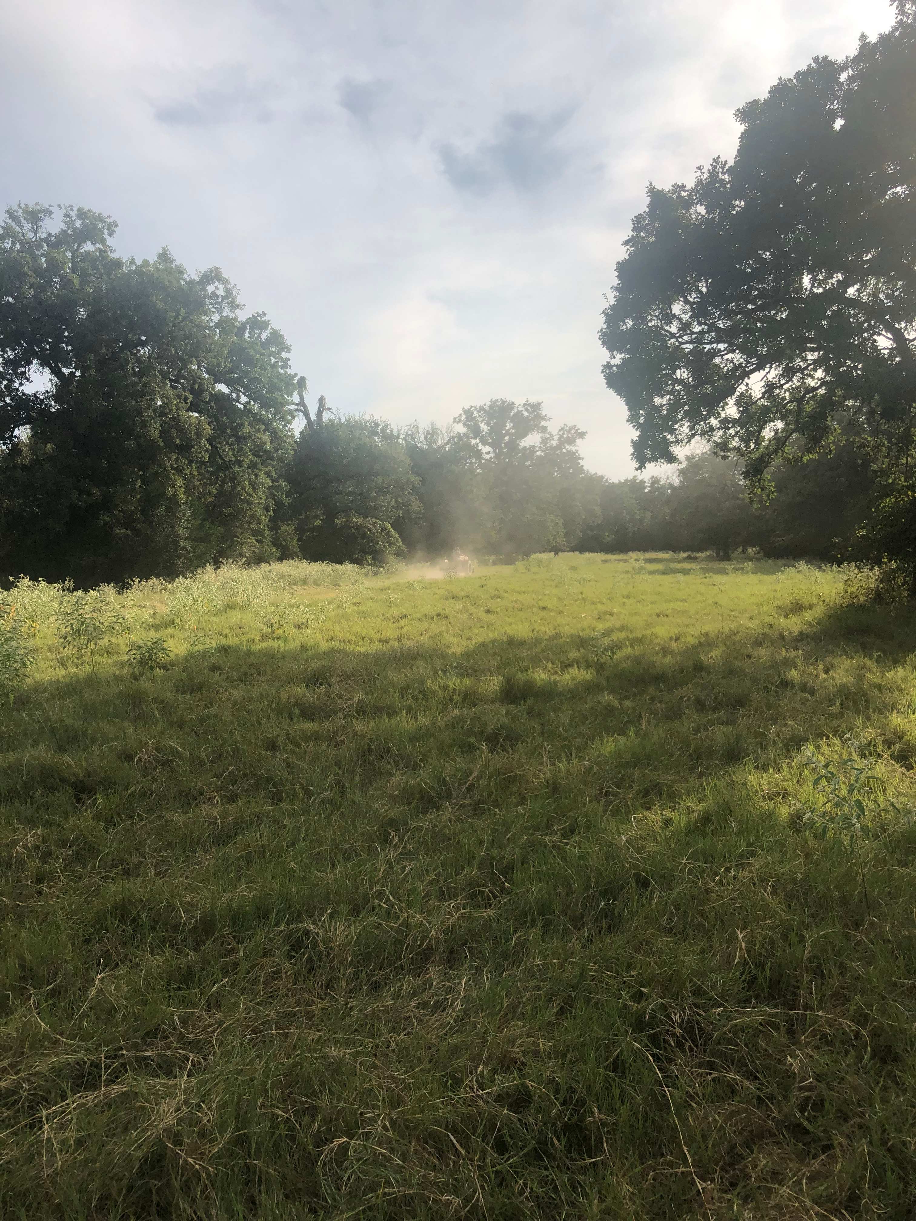 Camp by woods or  in pasture 