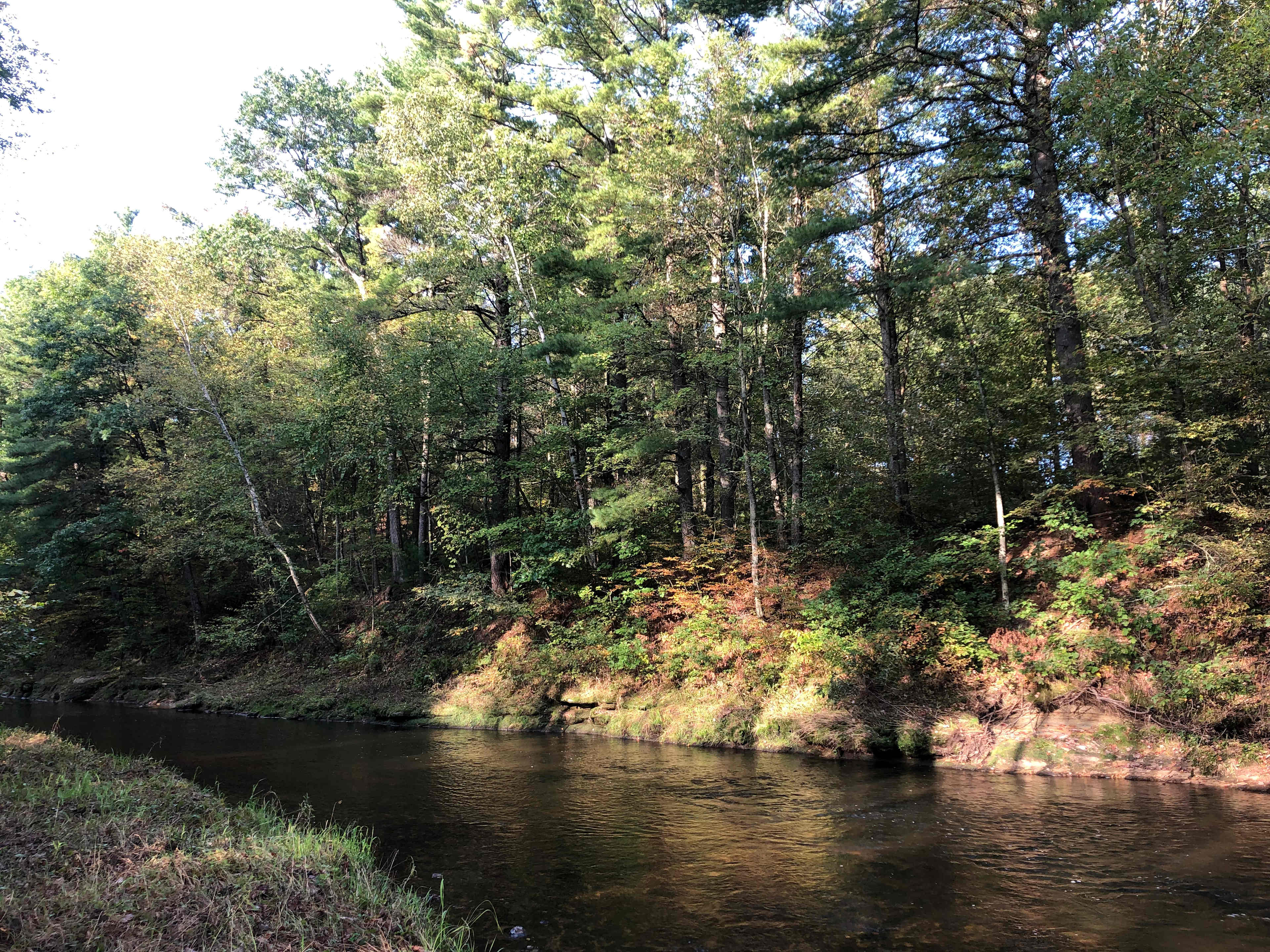 Bronzeback Creek Camp