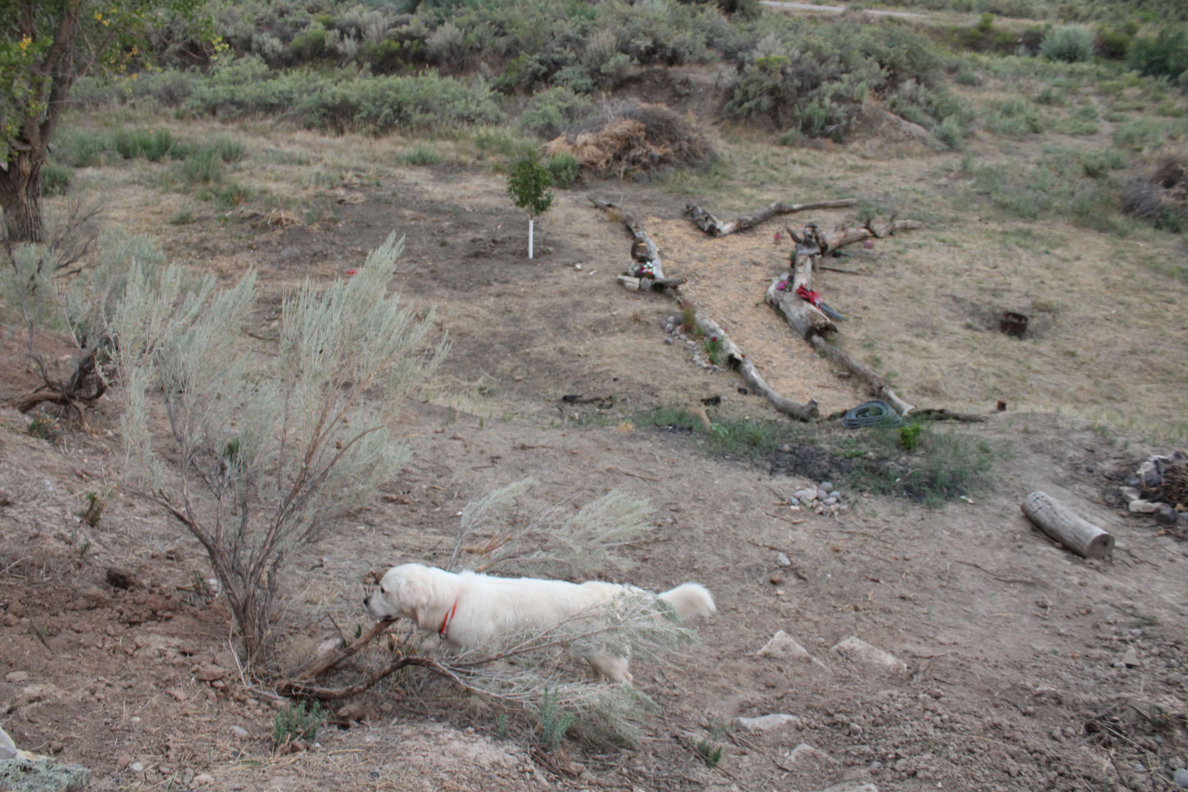 Our campground is a work in progress. We try to do natural landscaping, using elements on property or nearby for any hardscaping. 