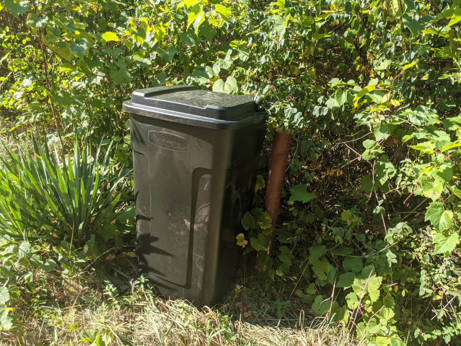 No need to take you trash with you. We'll take care of it!
