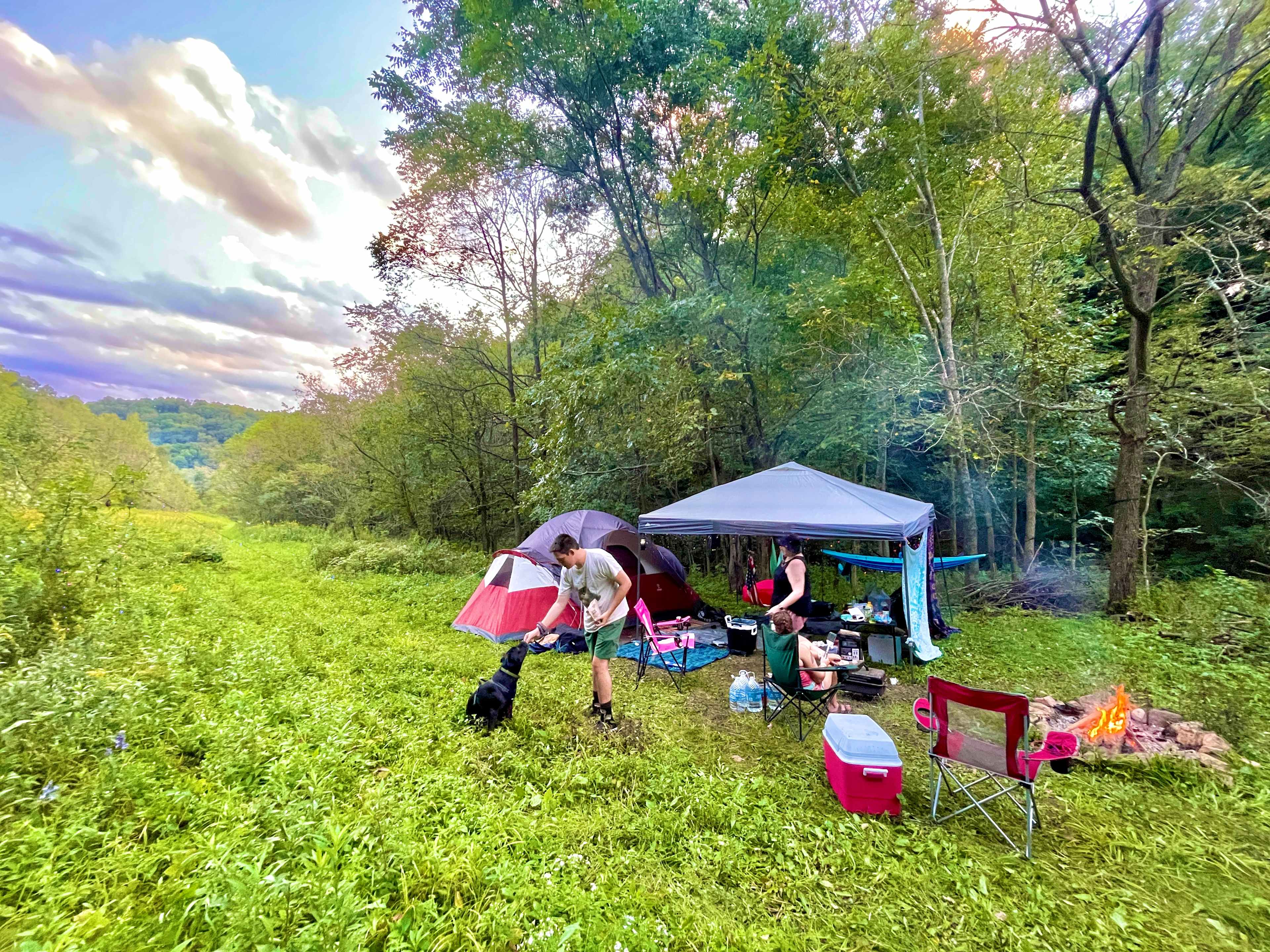 Picture of the site