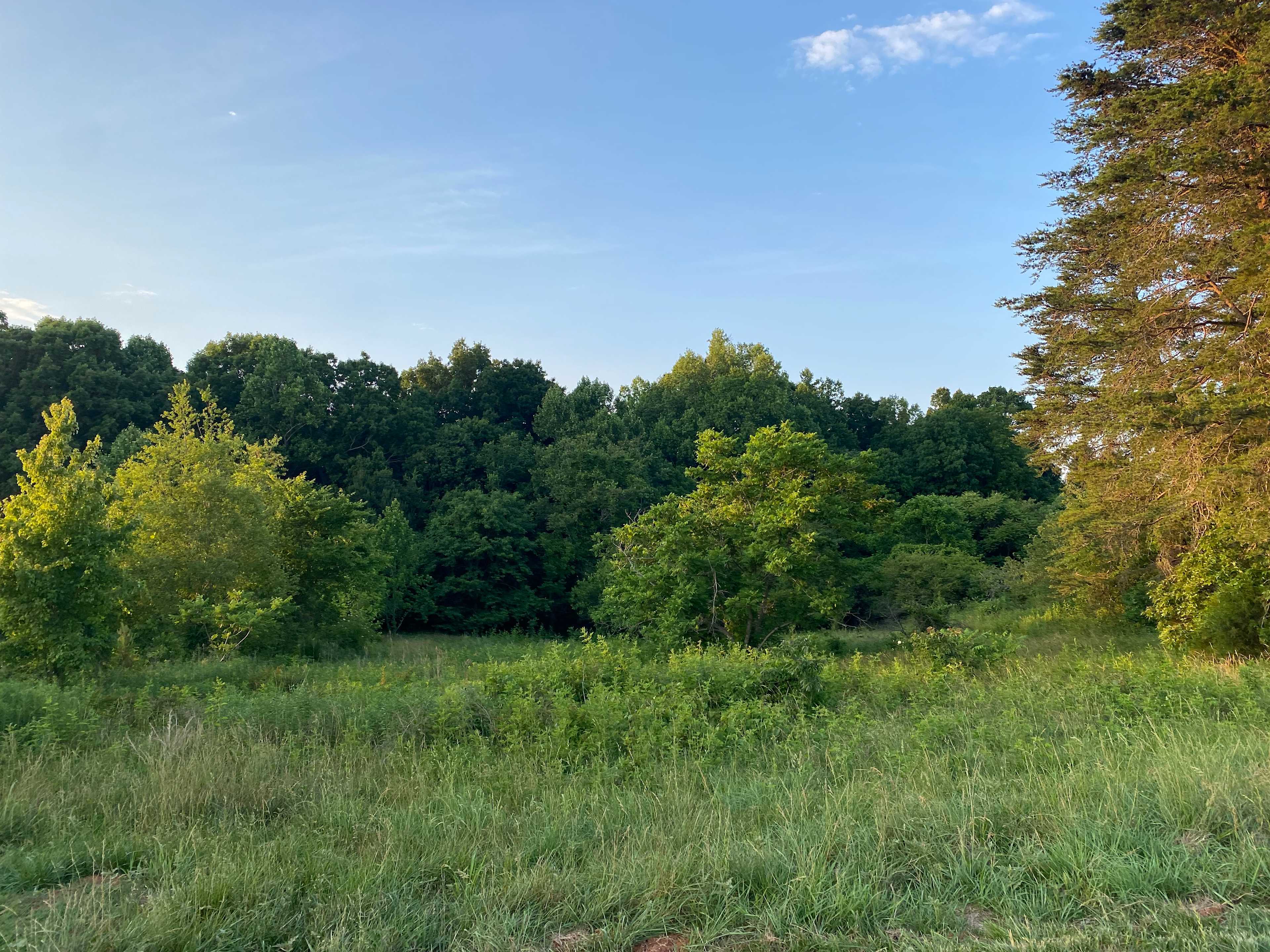 The Homestead