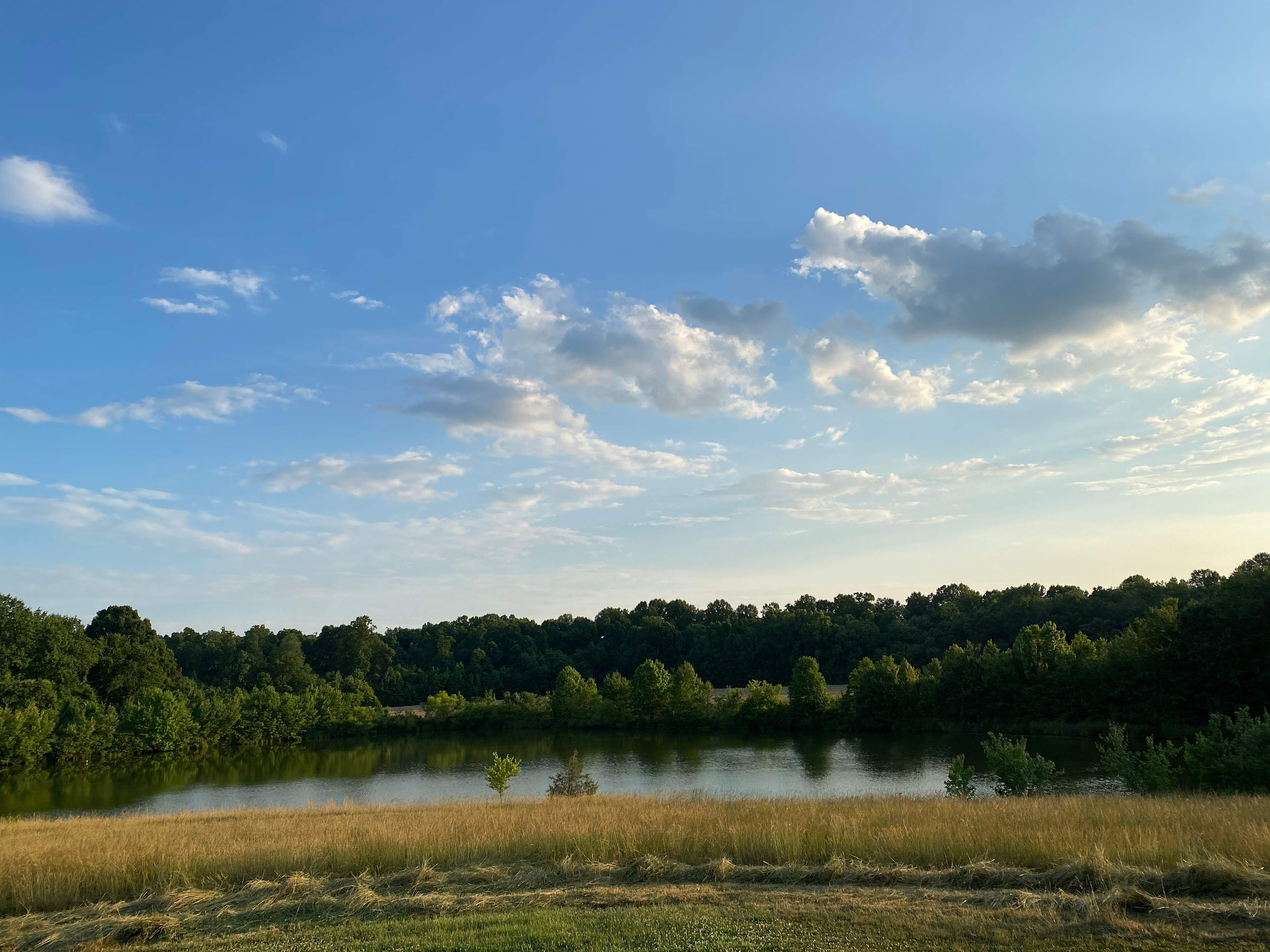 One of two ponds for your pleasure, stocked and crystal clear.