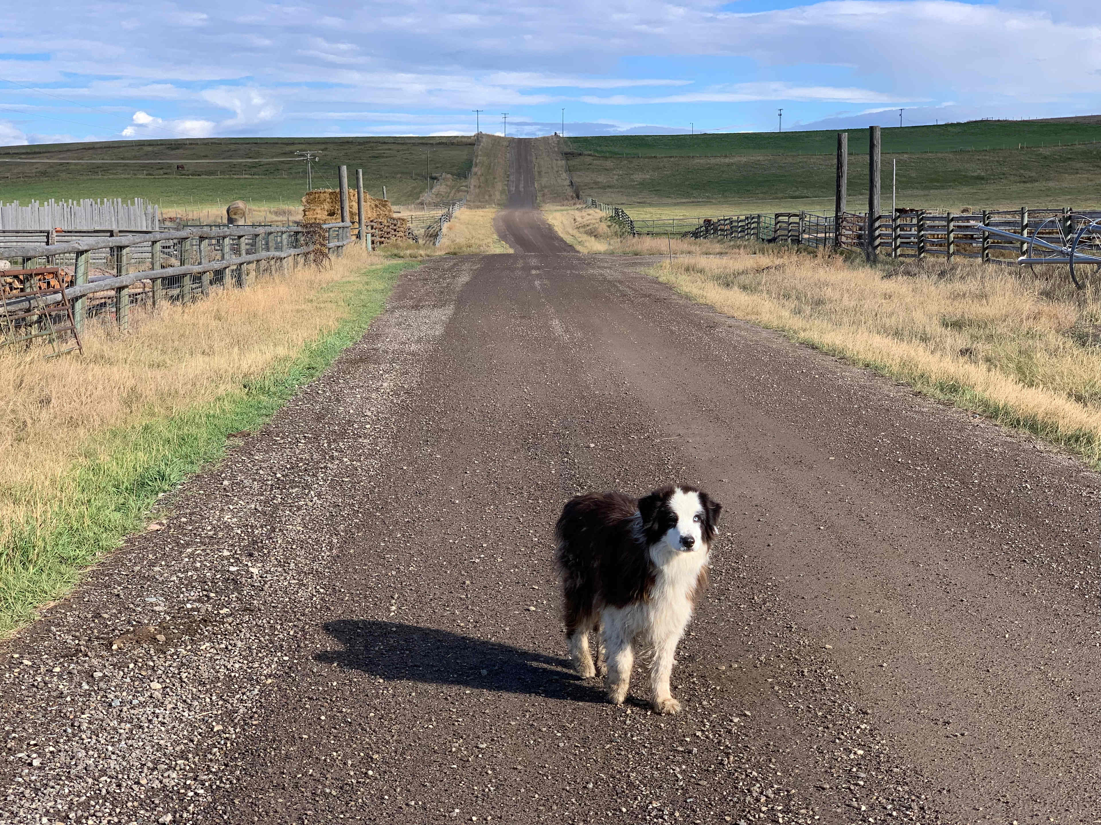 Mentzer Ranch