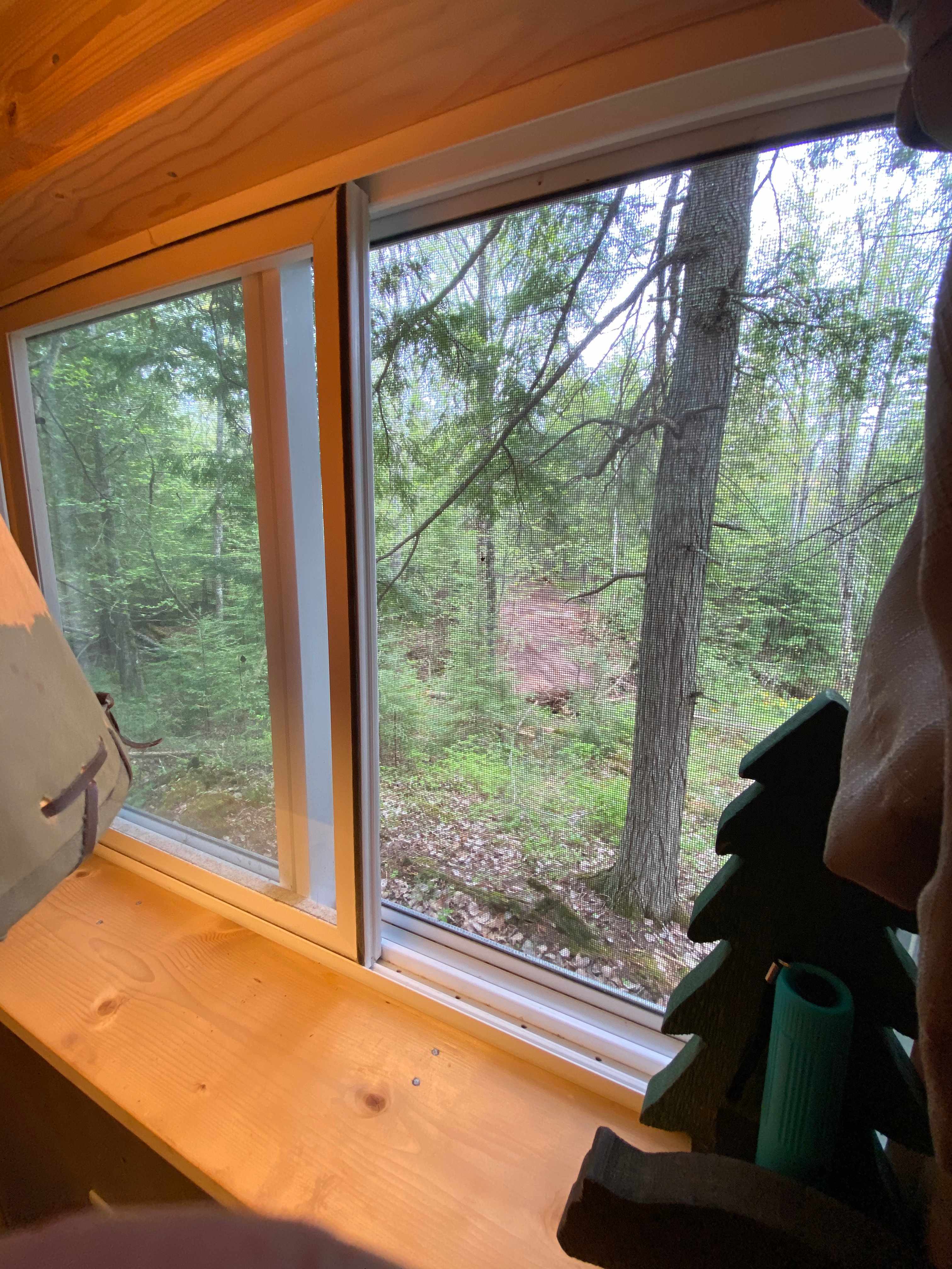 Rustic view! 
